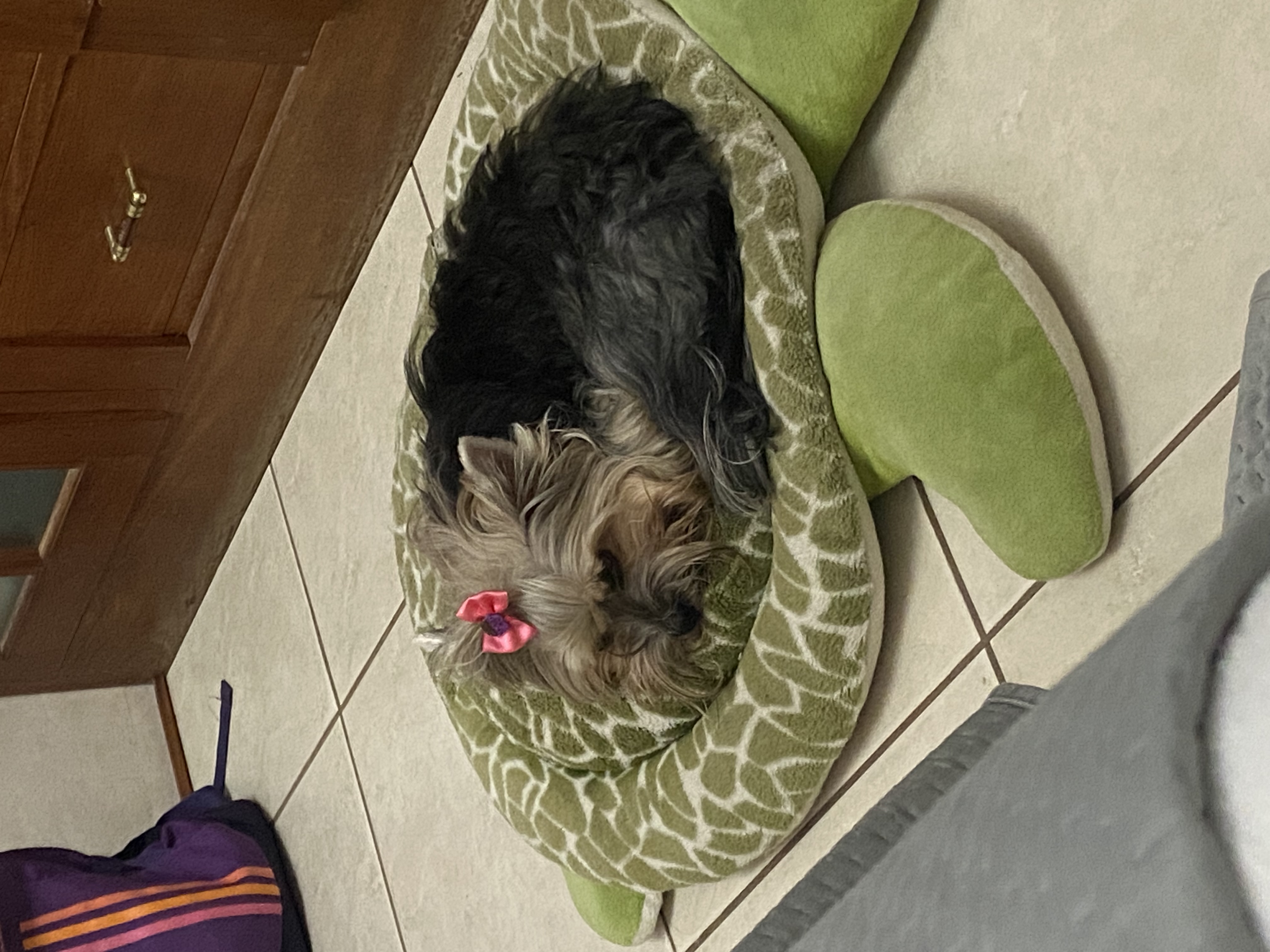 image-6