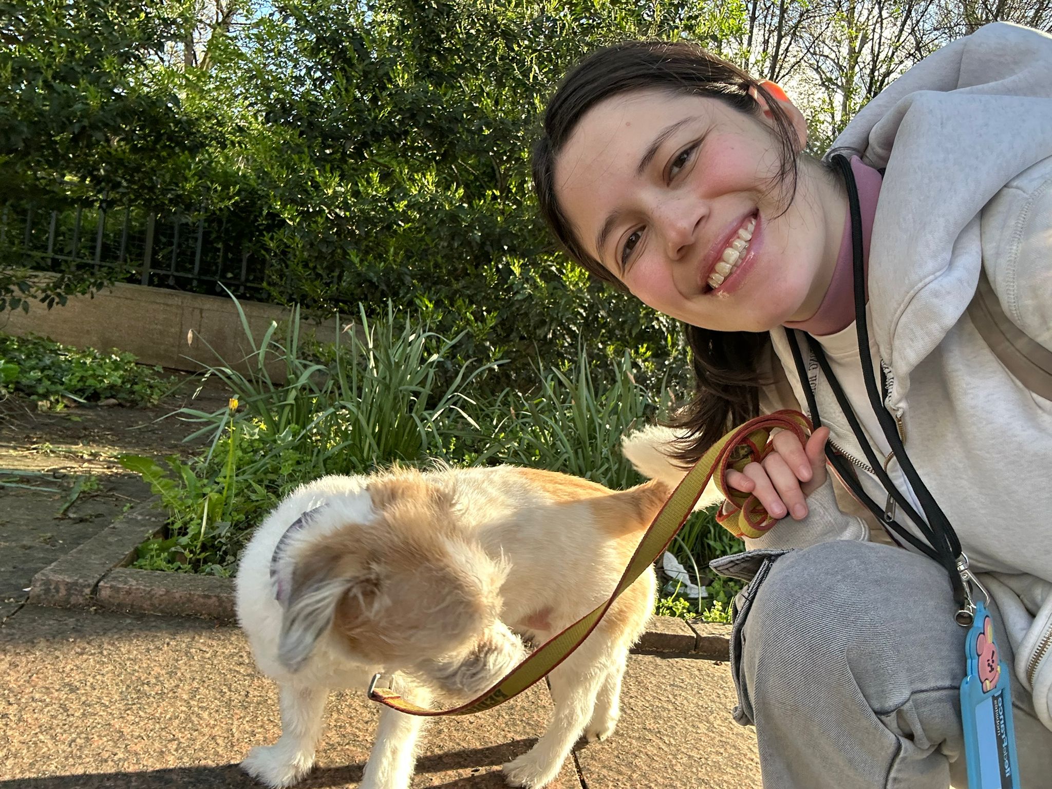image-6