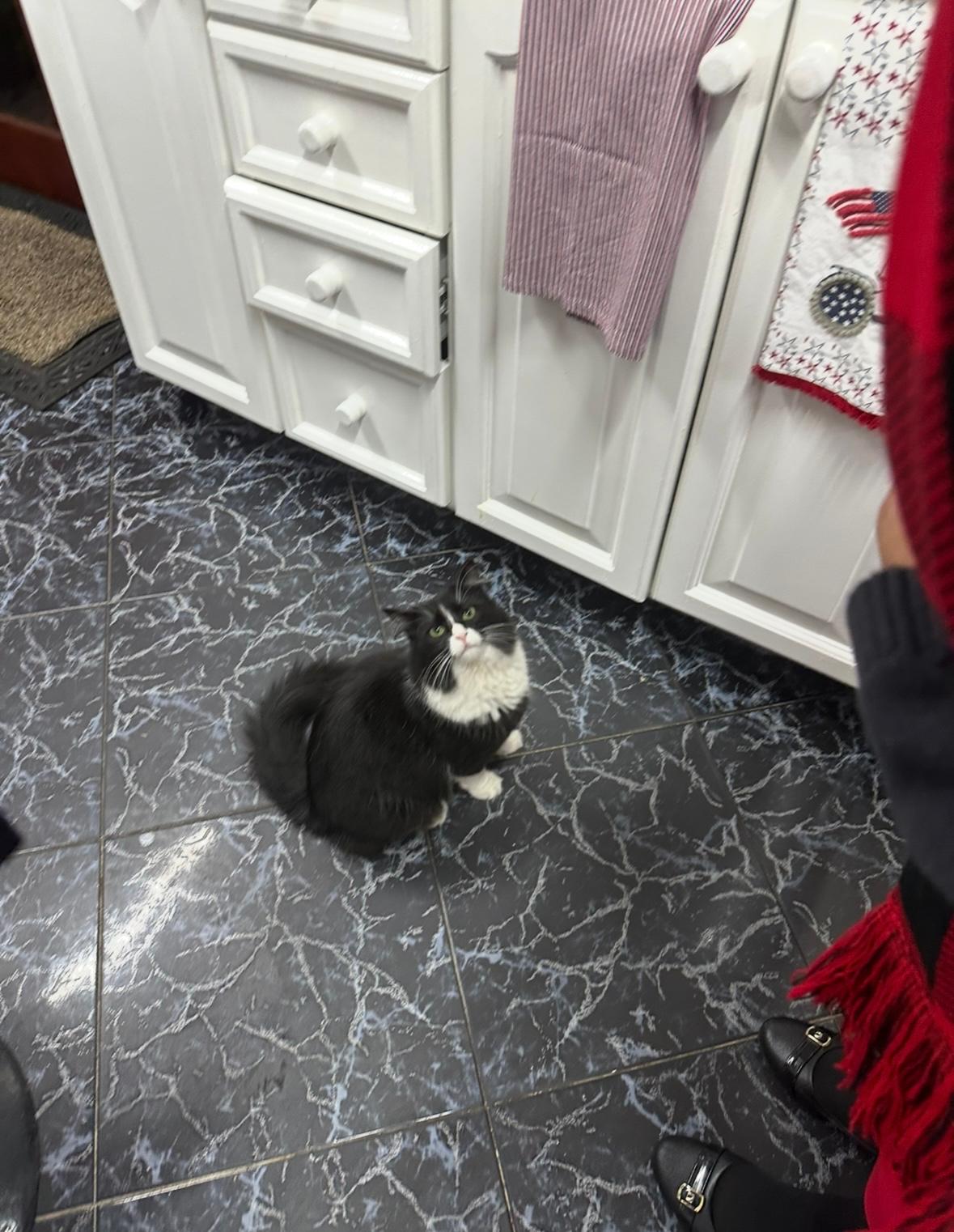 image-10
