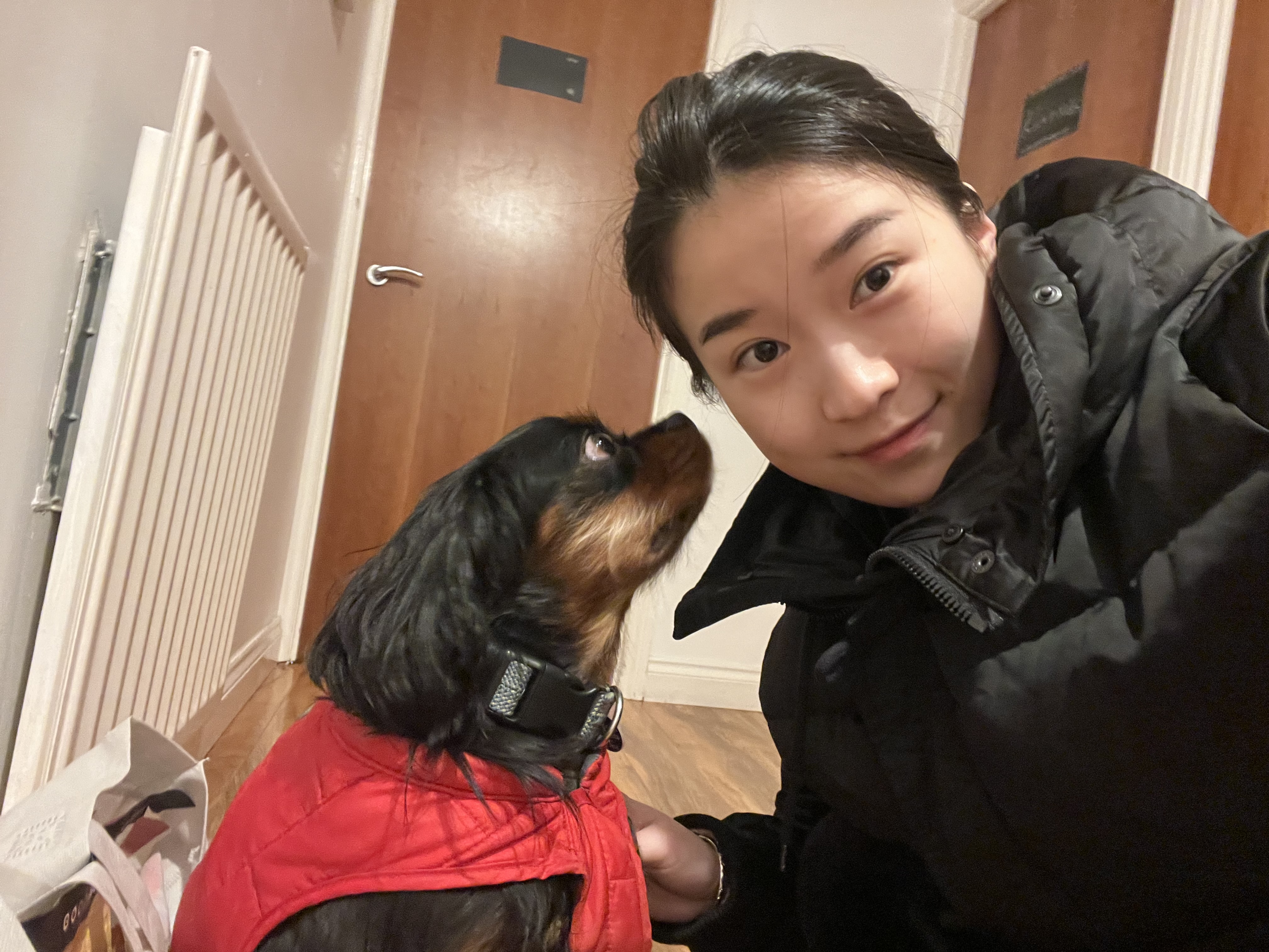 image-7