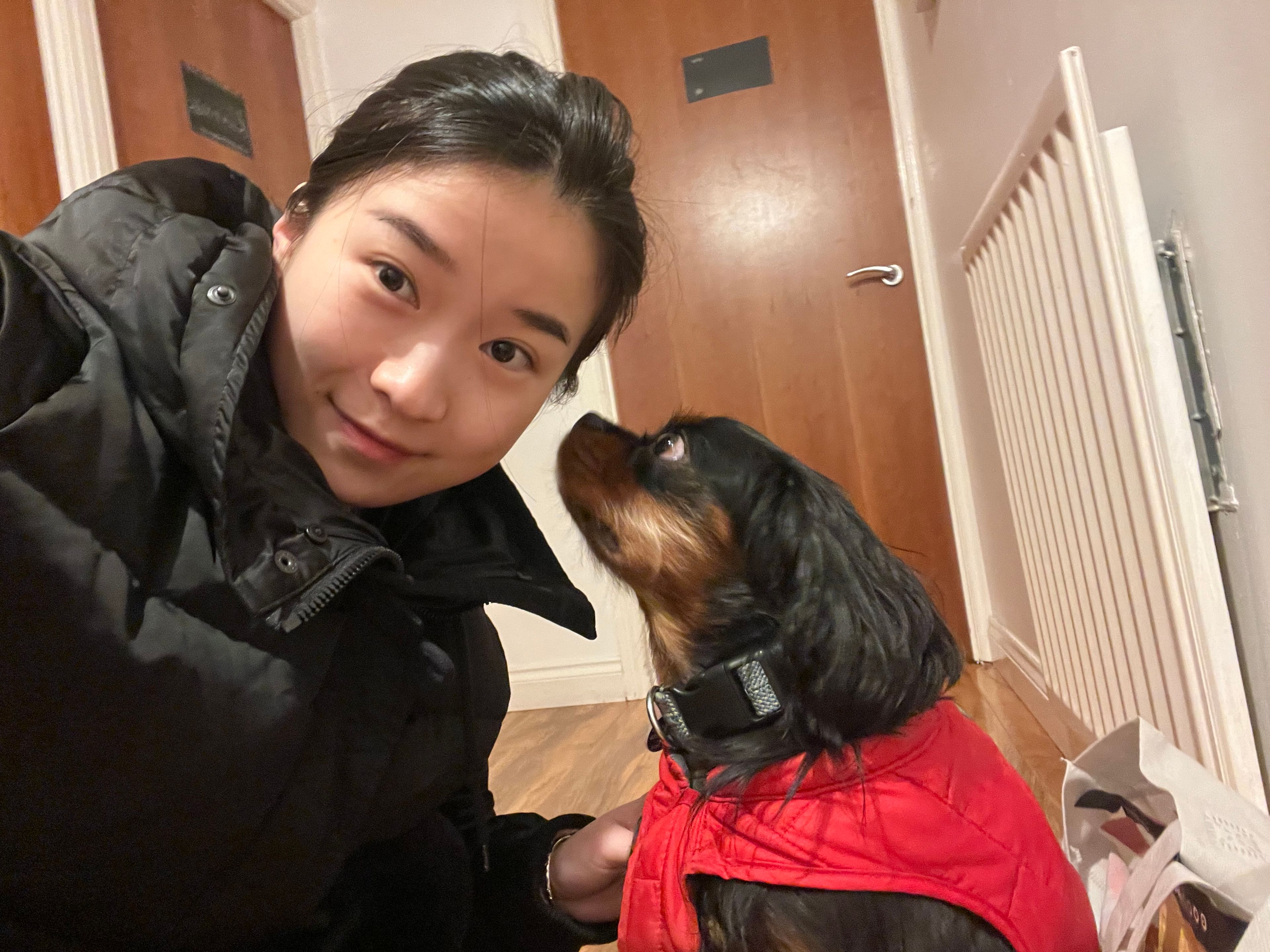 image-7