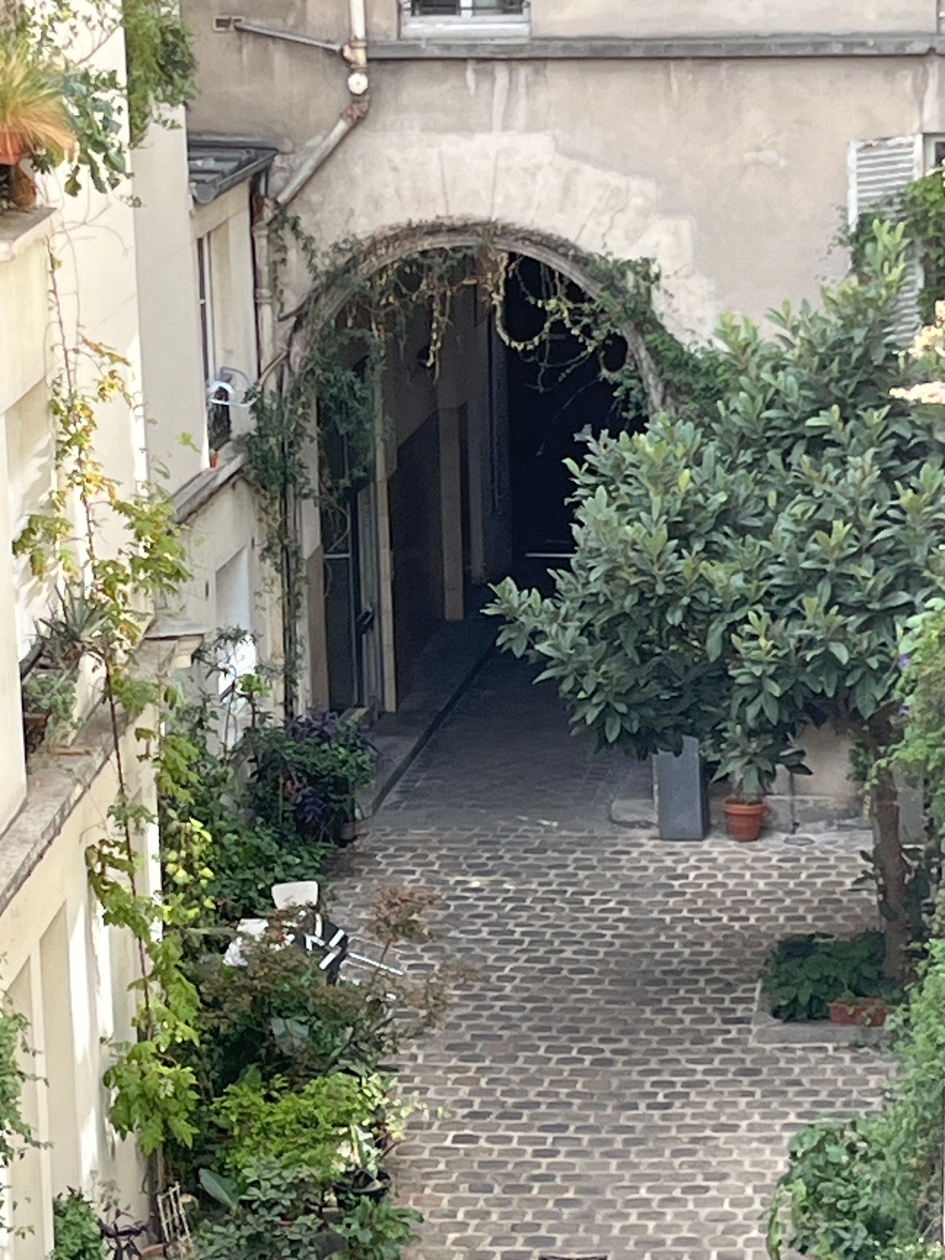 image-15