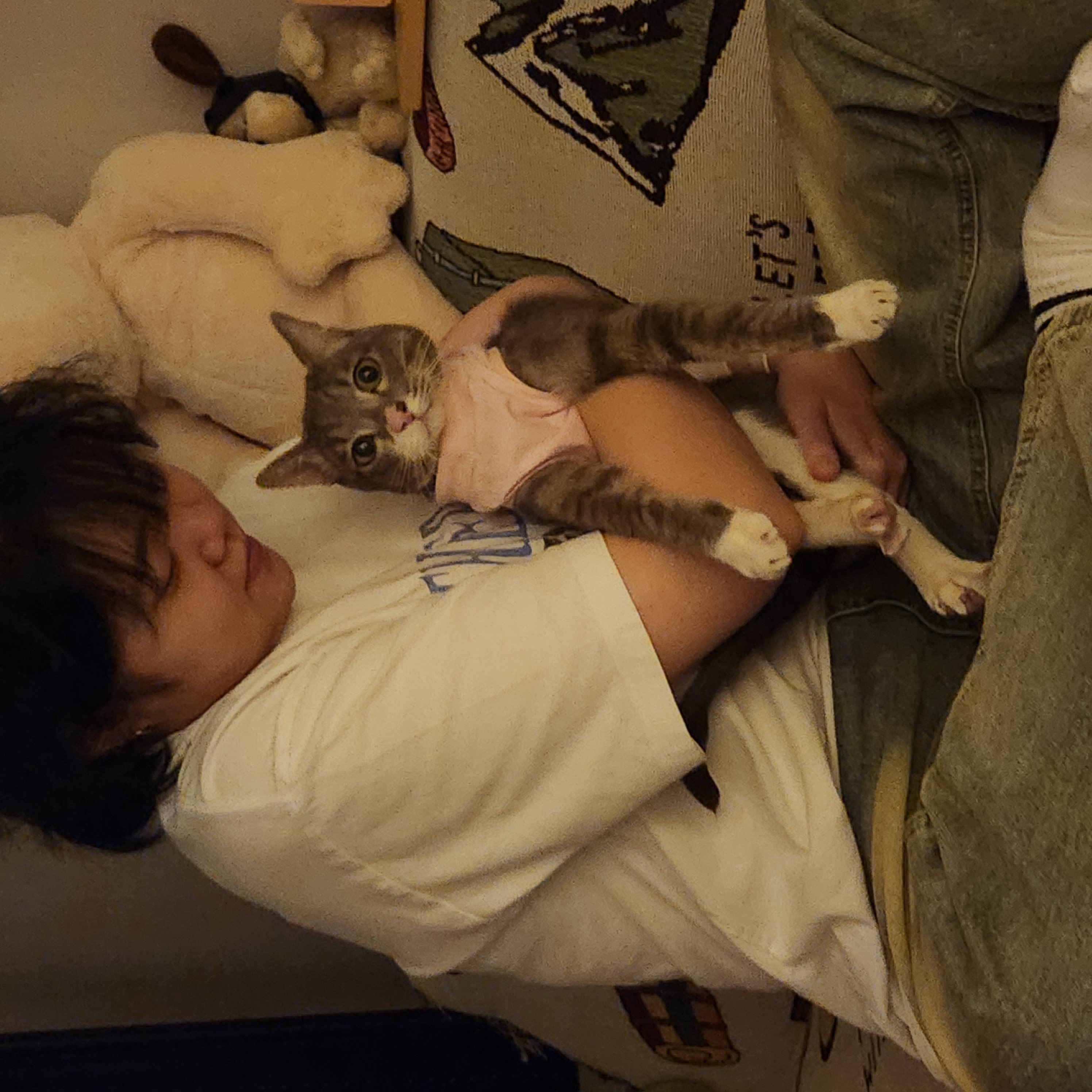 image-7