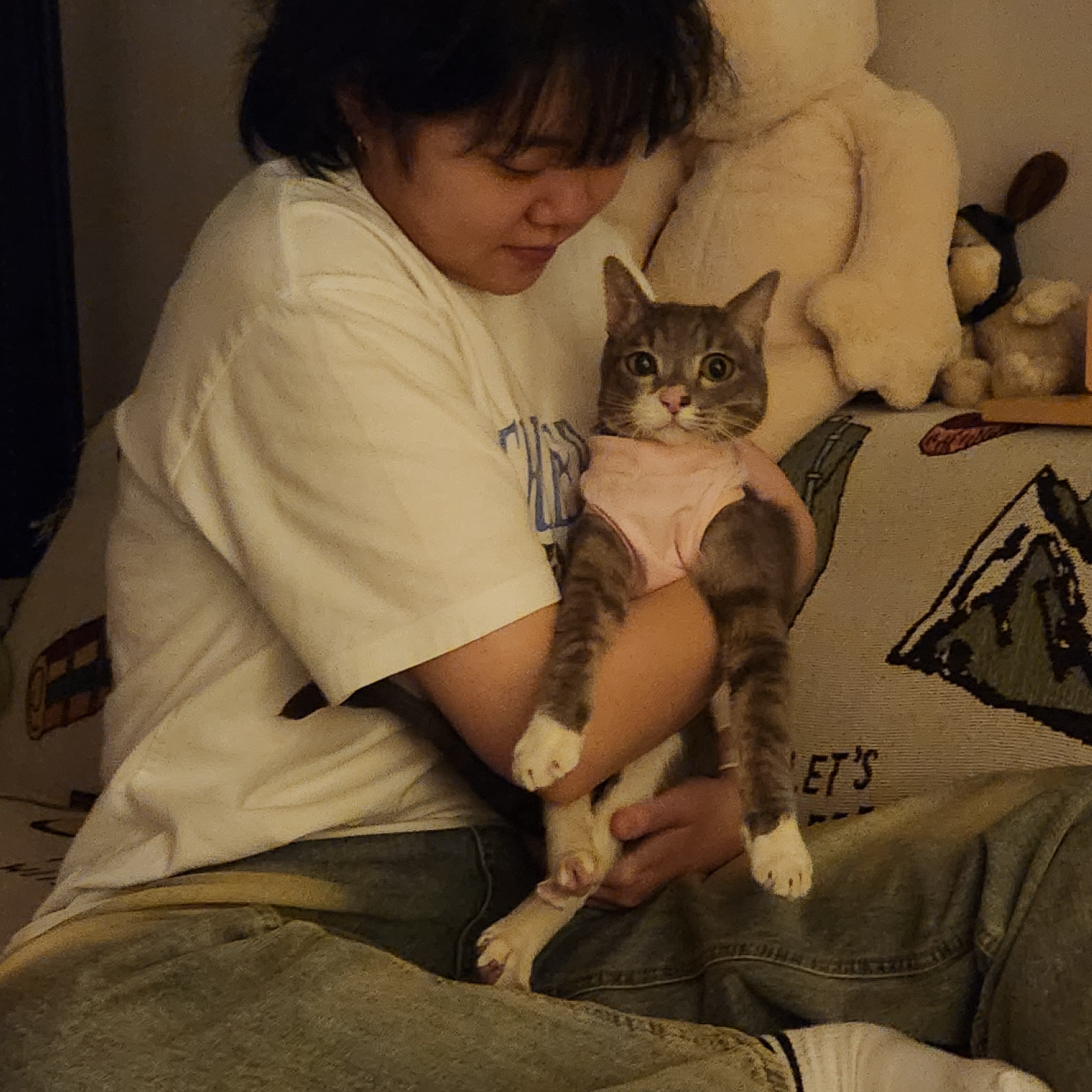 image-7