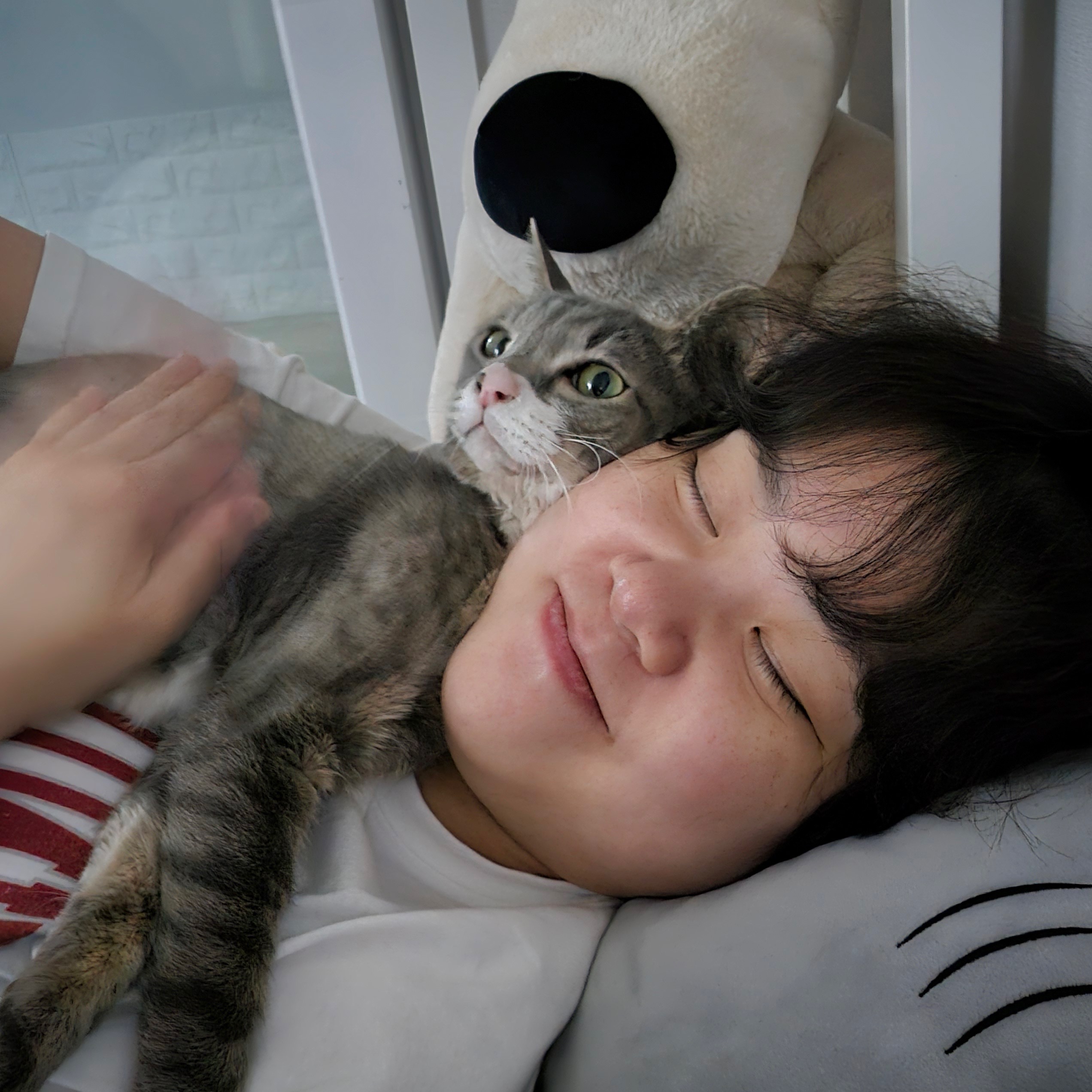 image-5