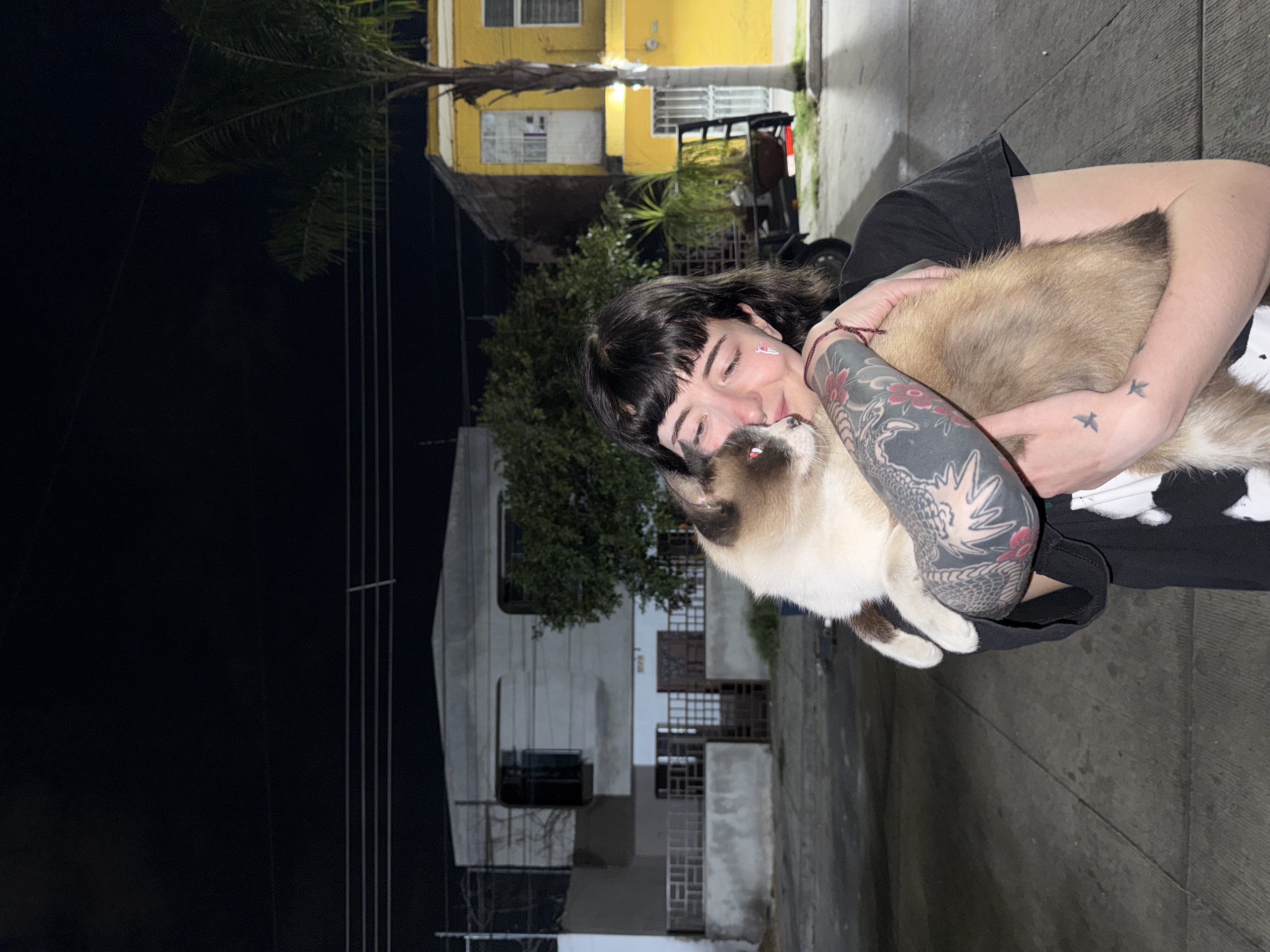 image-6