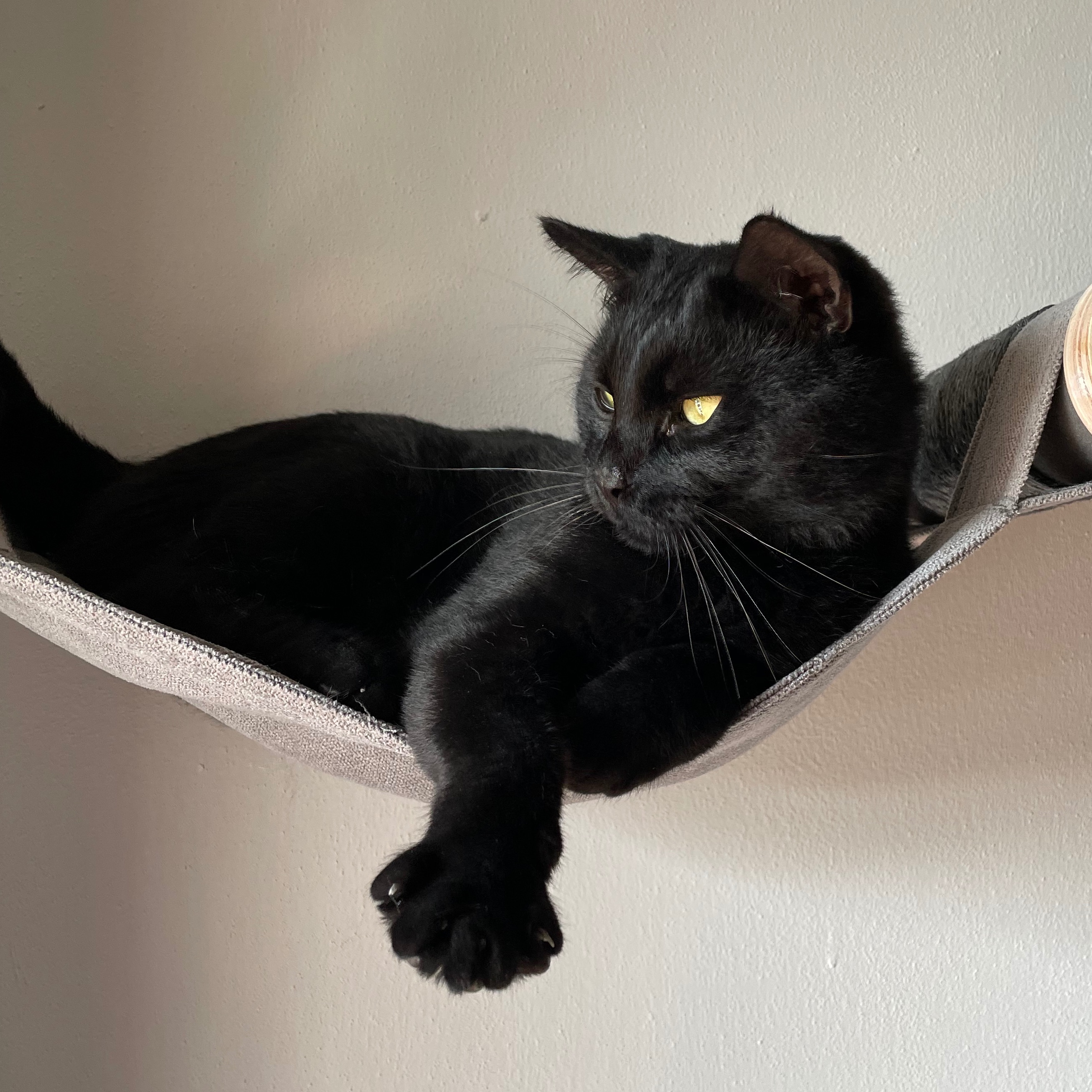 Roscoe