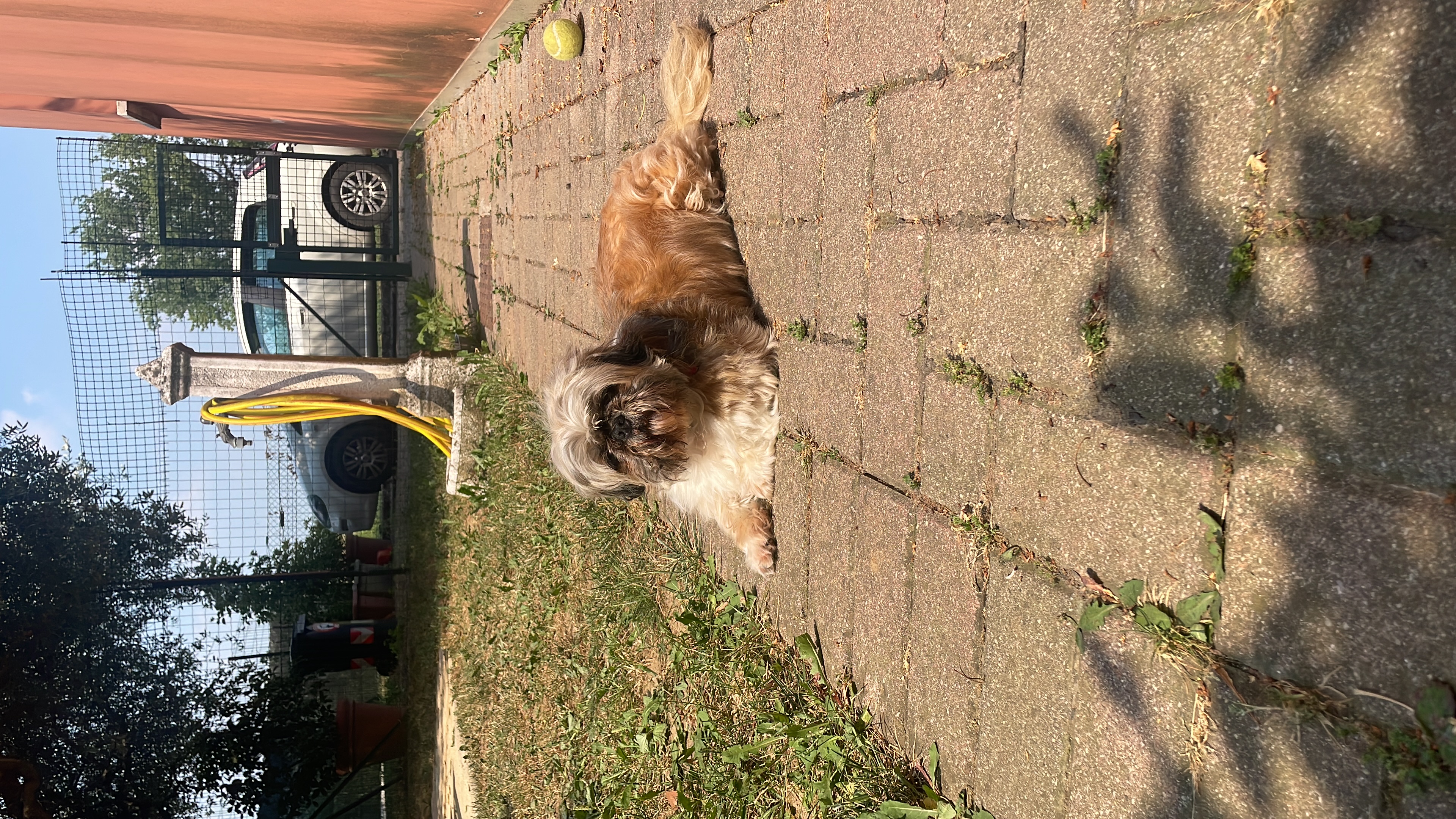 image-5