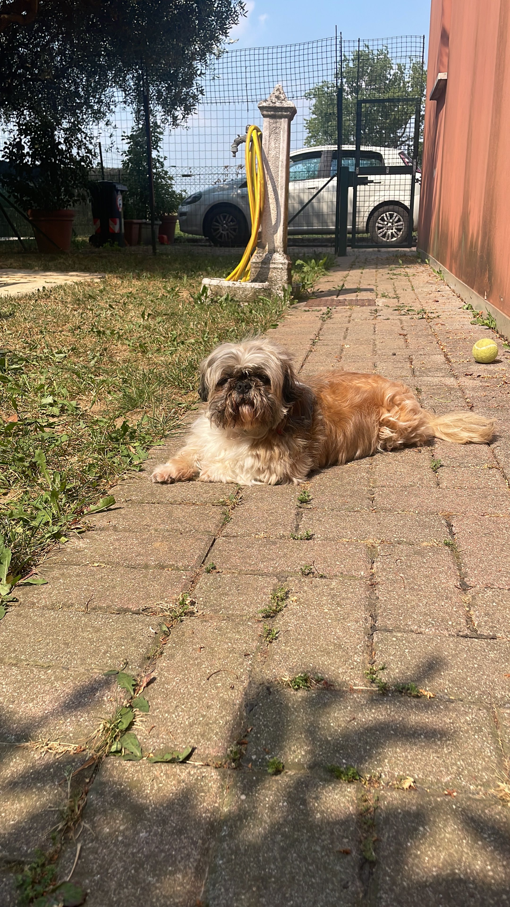 image-5
