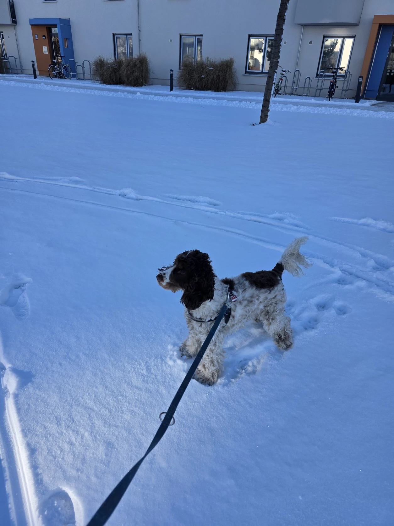 image-9