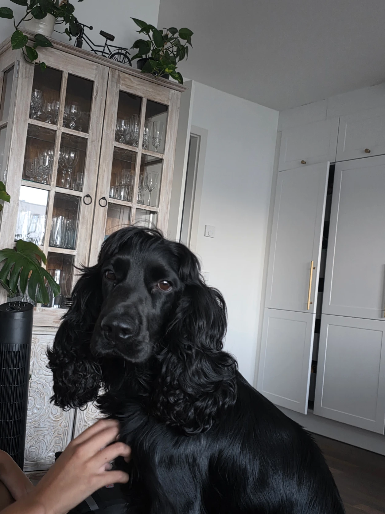 image-27