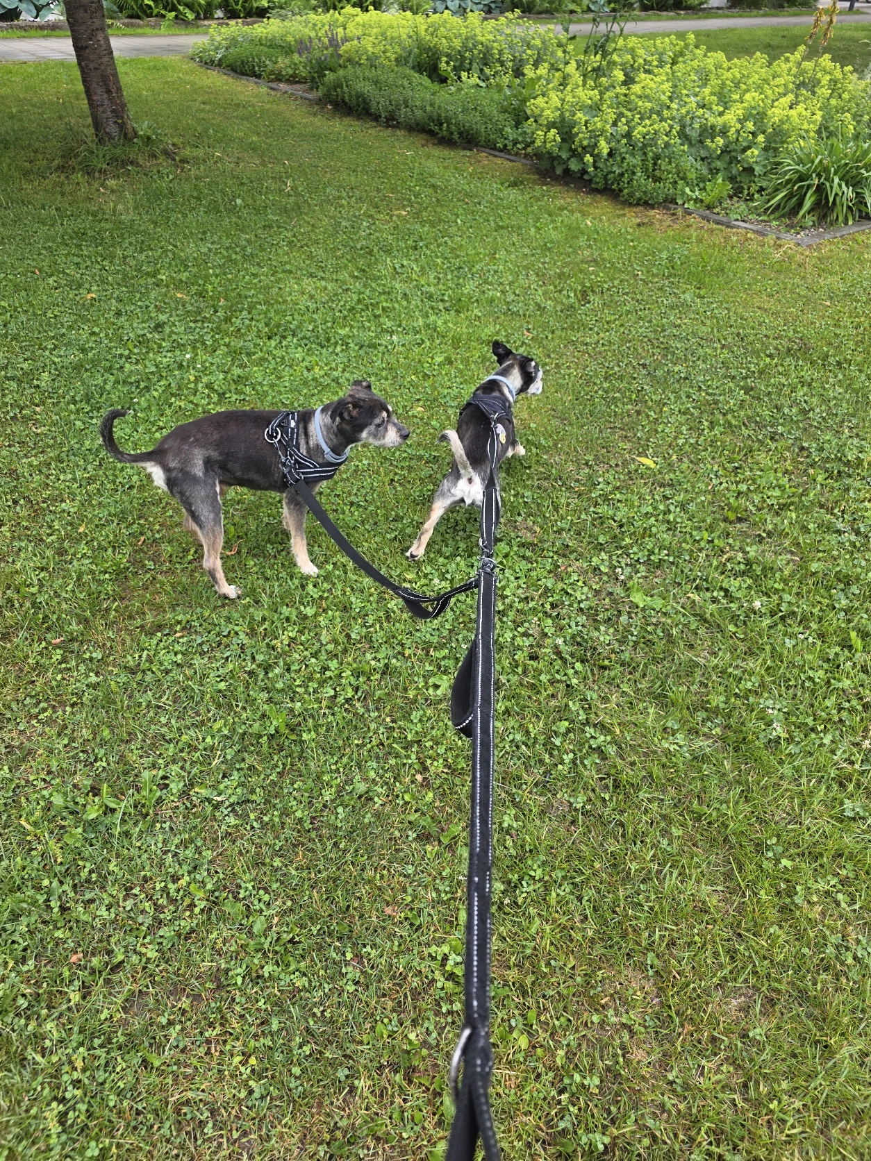 image-20