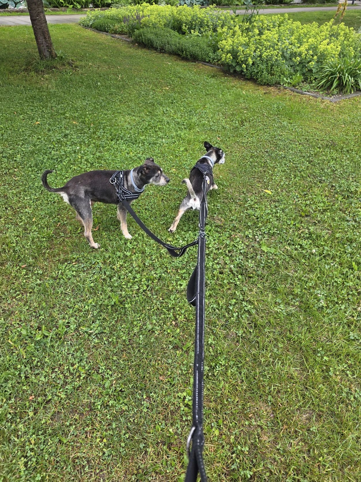 image-20