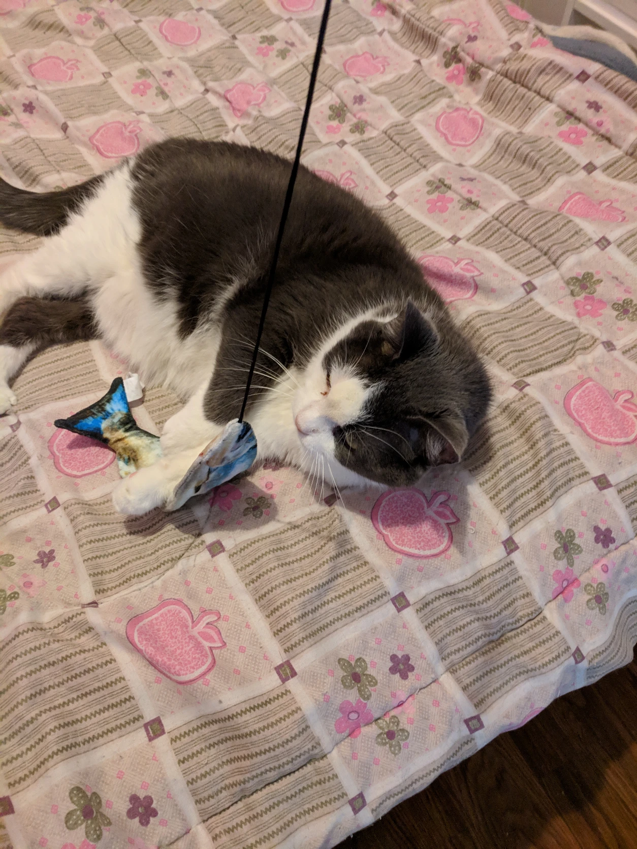 image-15