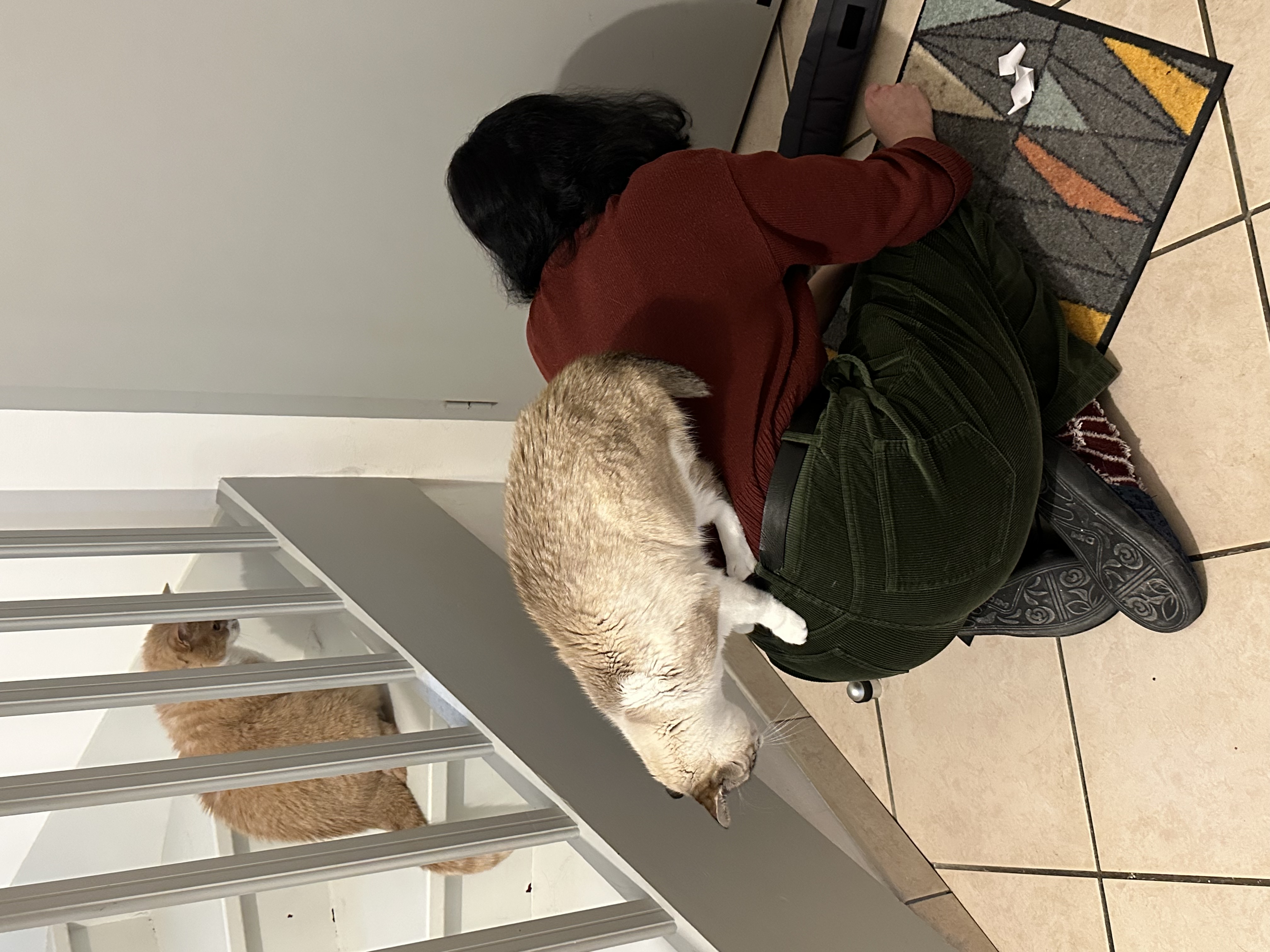 image-5