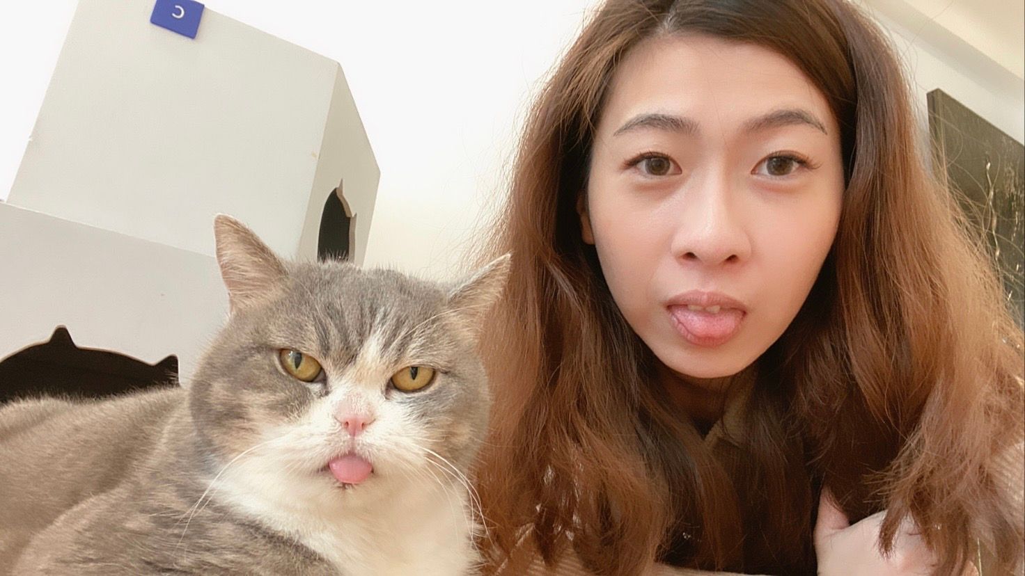 image-0