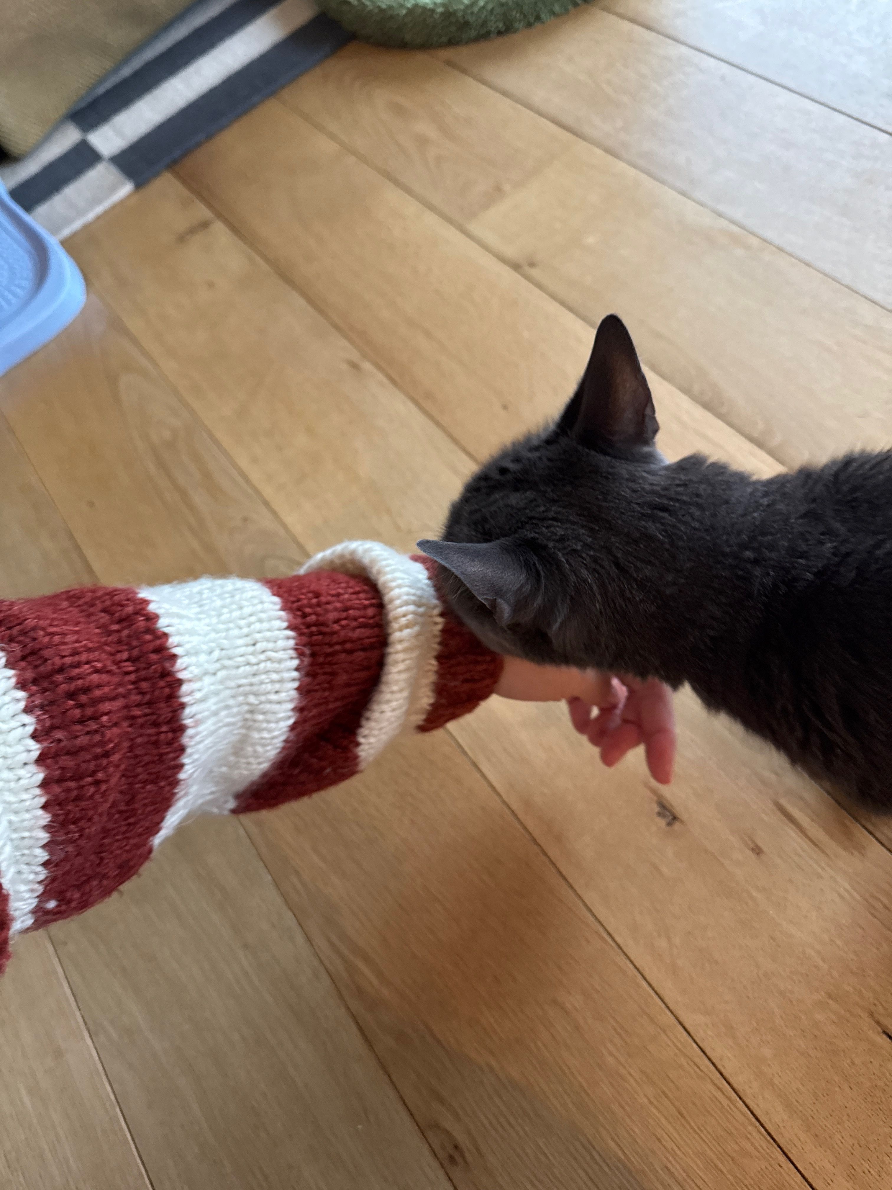 image-8