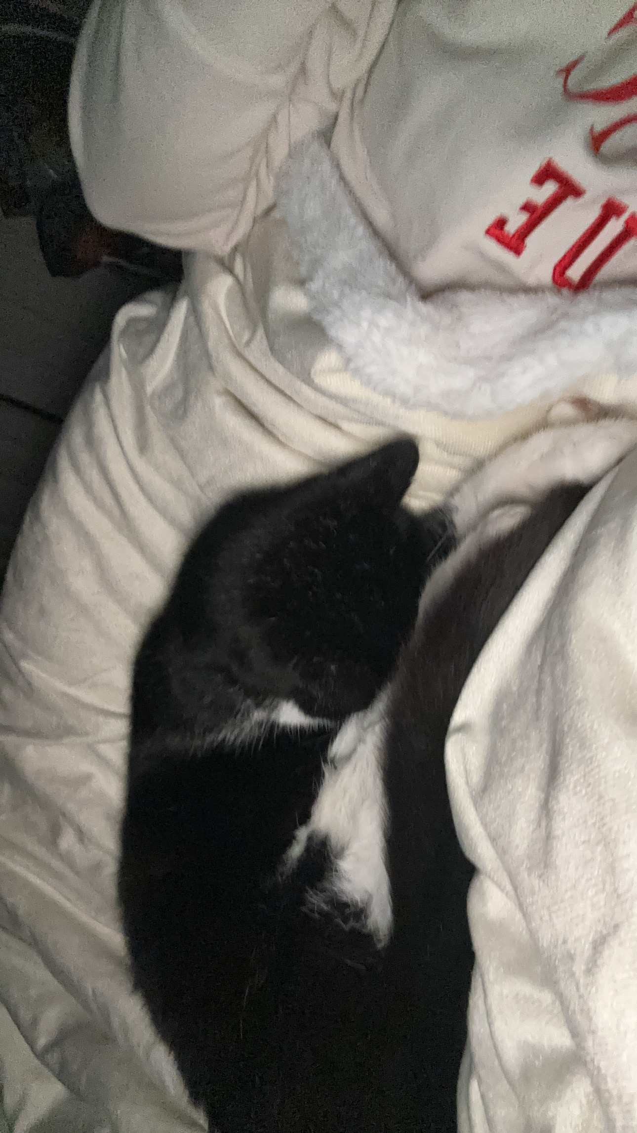 image-7