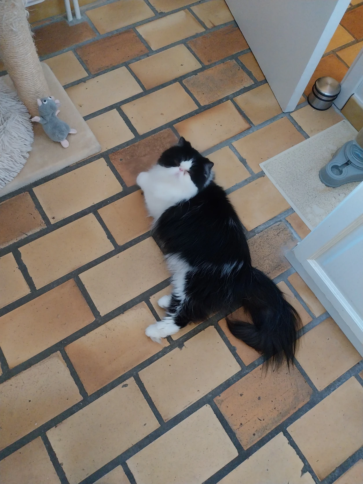 image-8