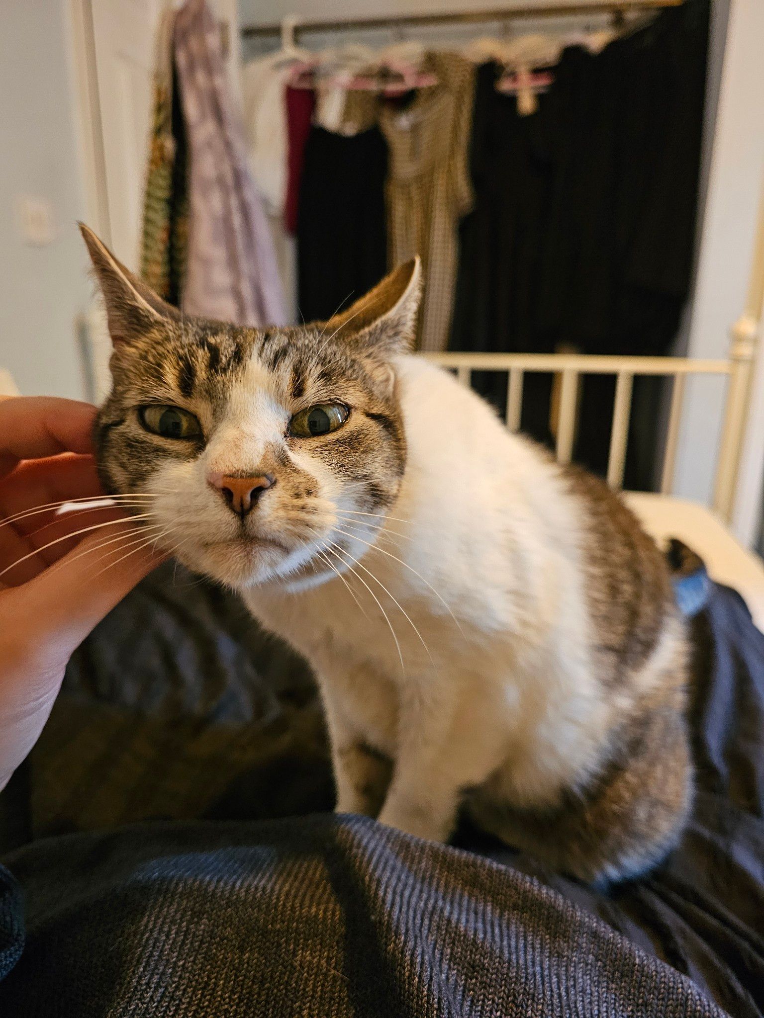 image-7