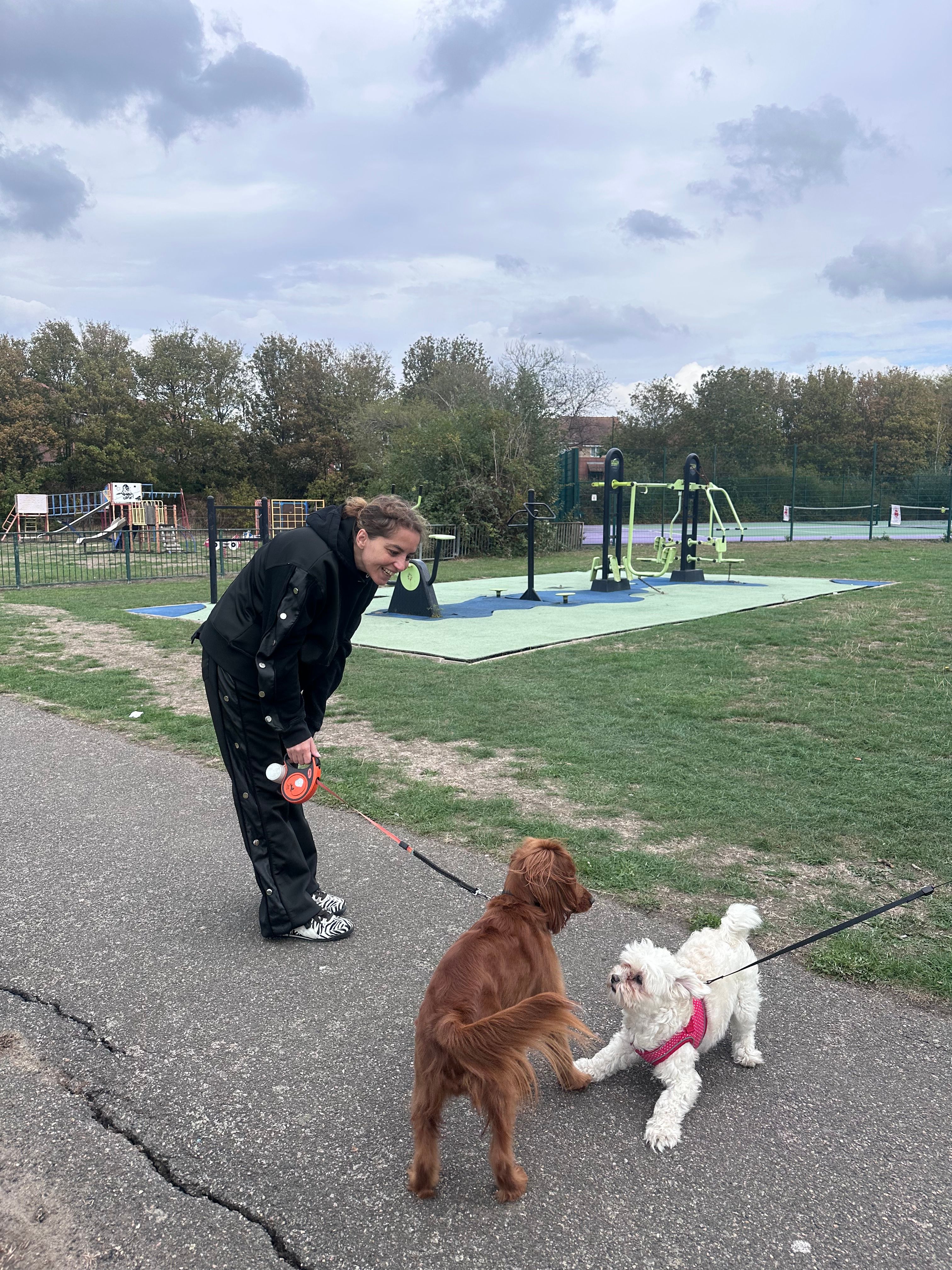 image-4