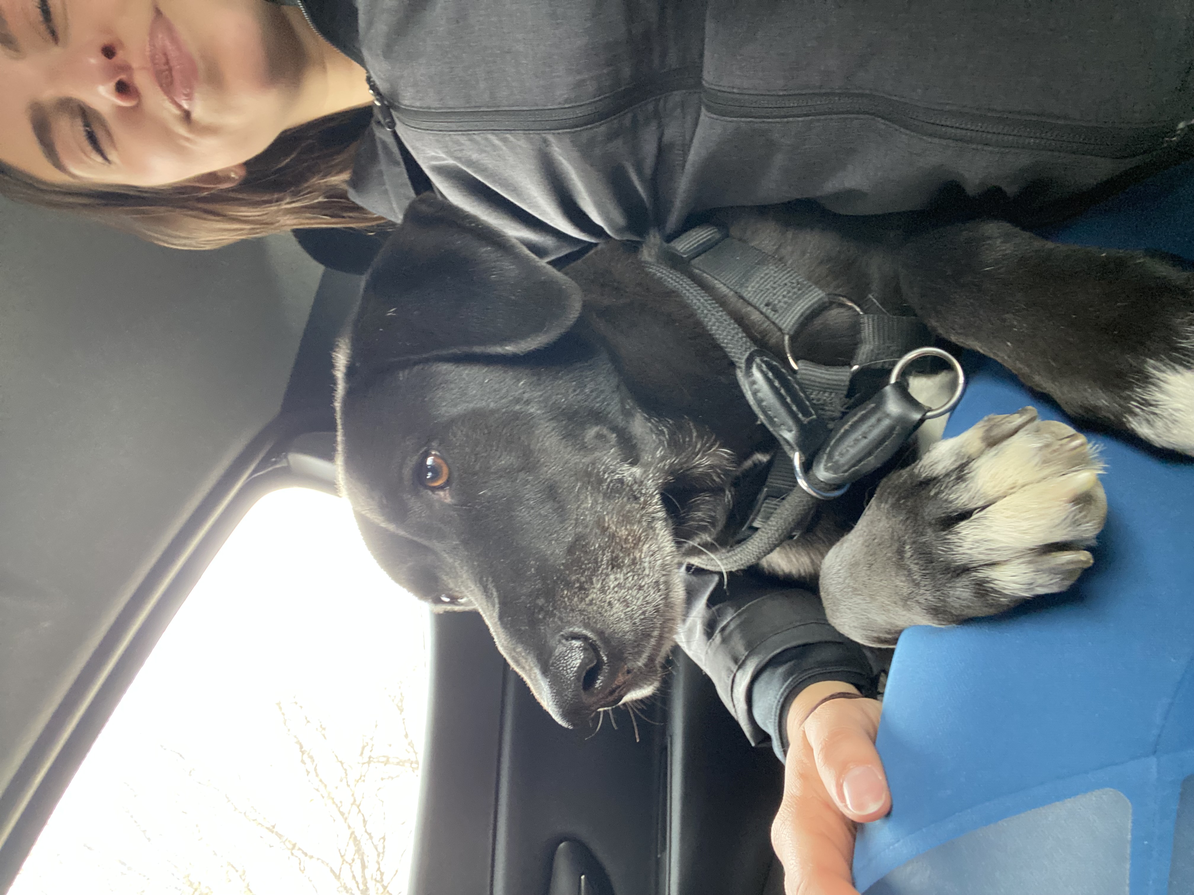 image-15