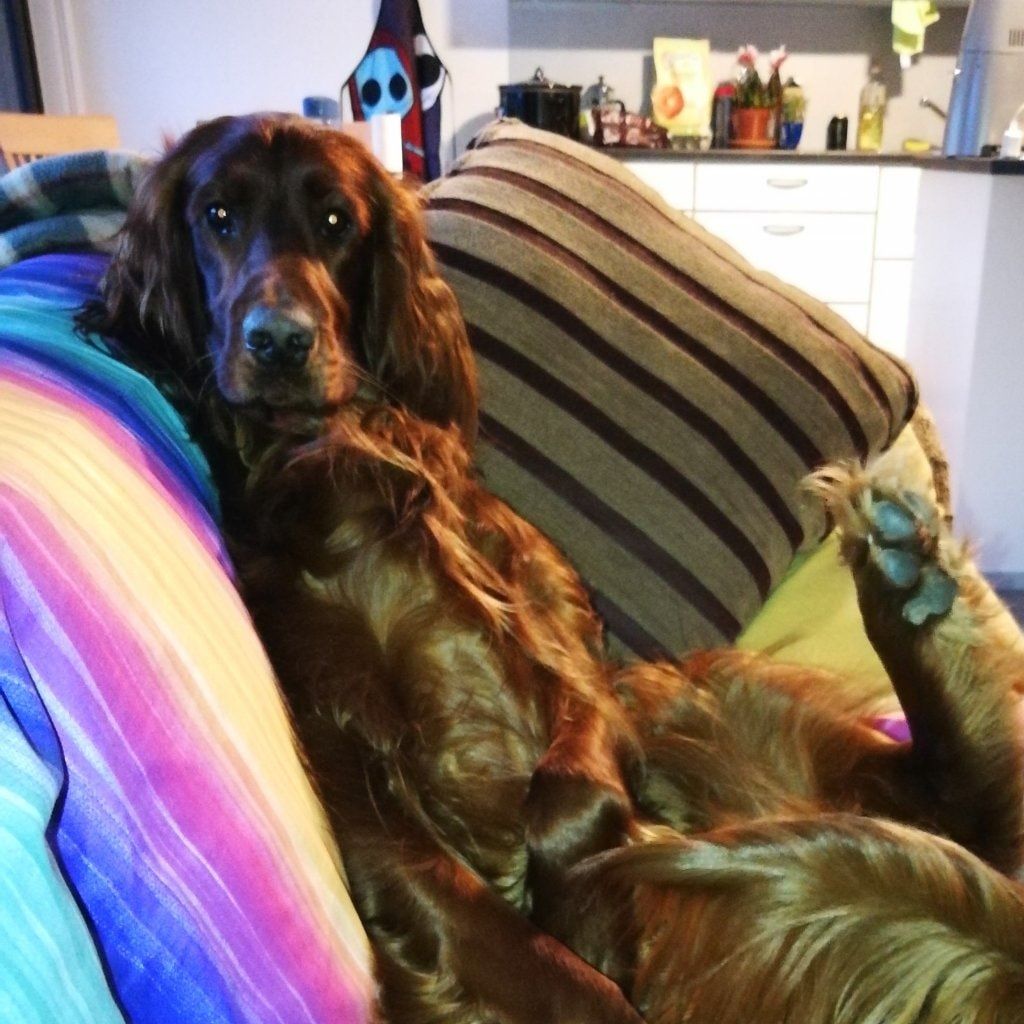 Marley