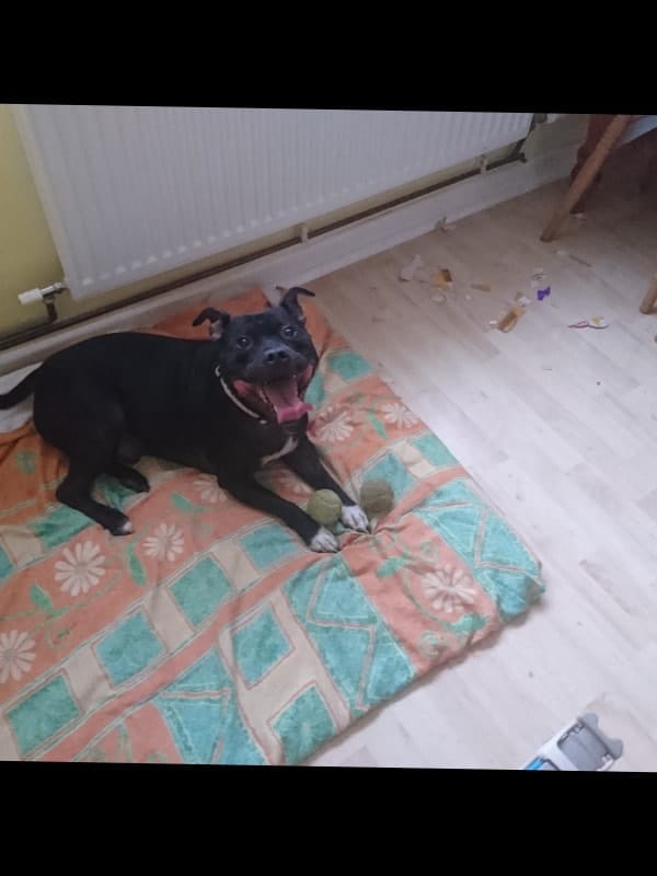 image-16