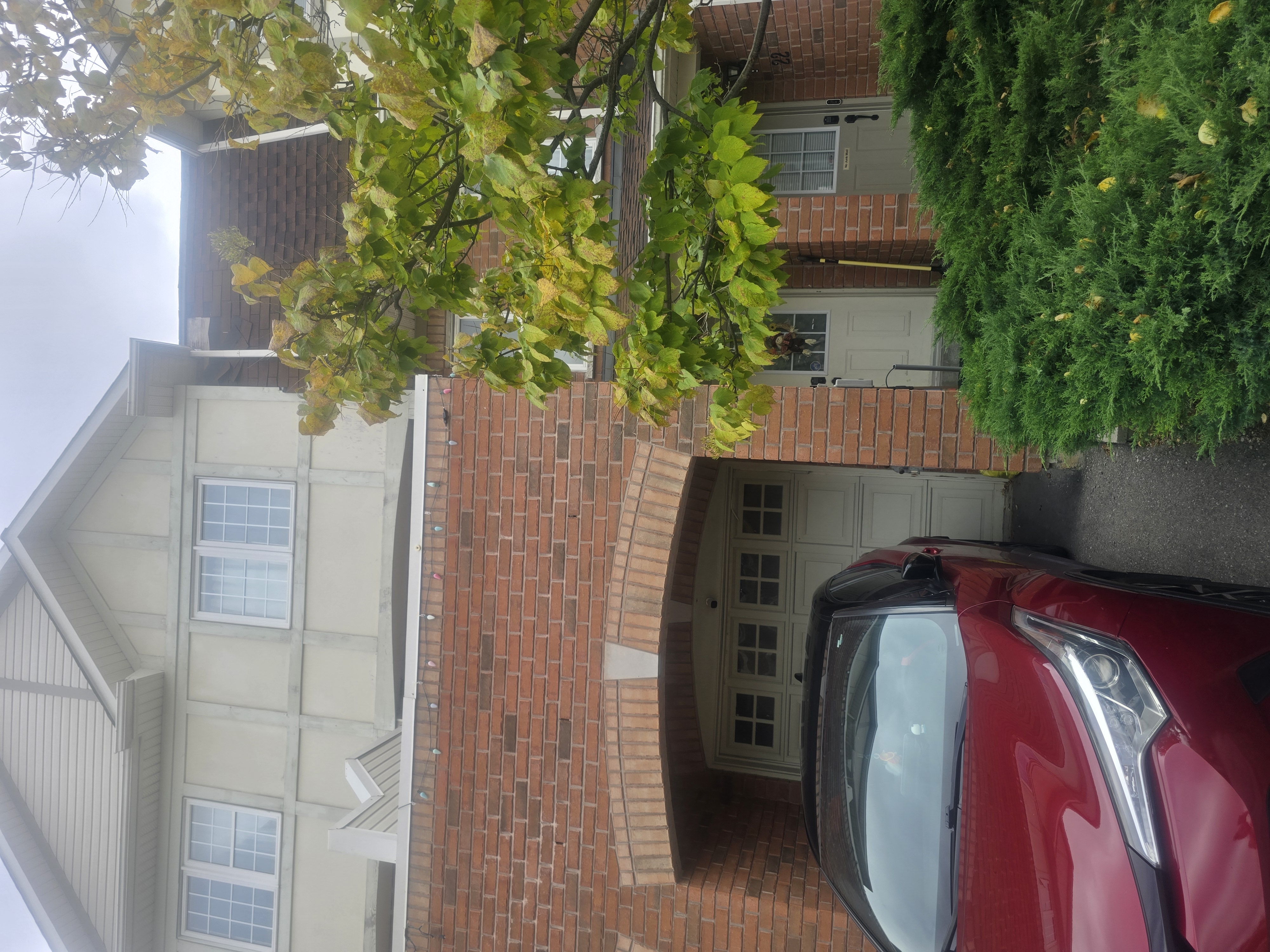 image-19