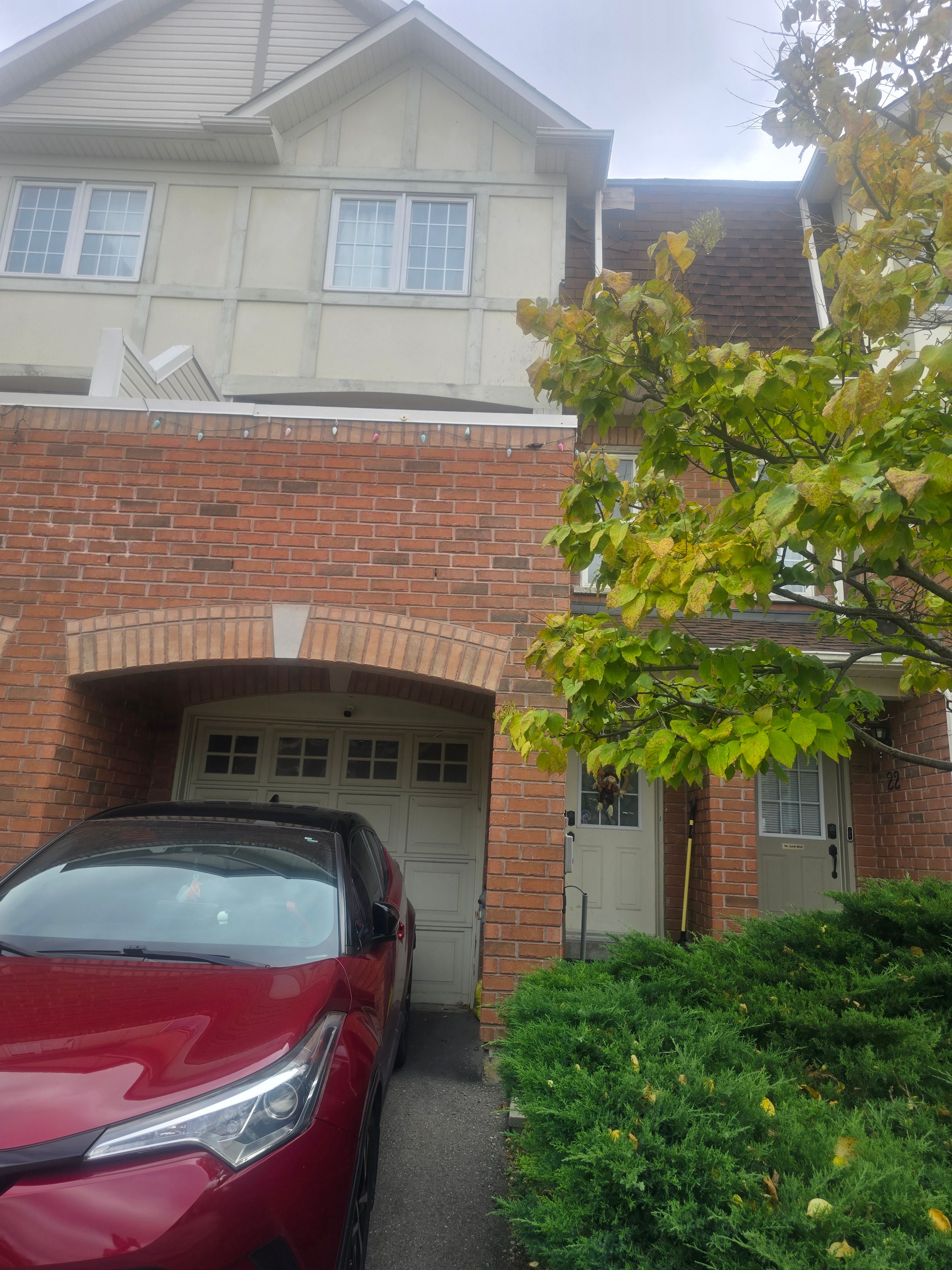 image-19