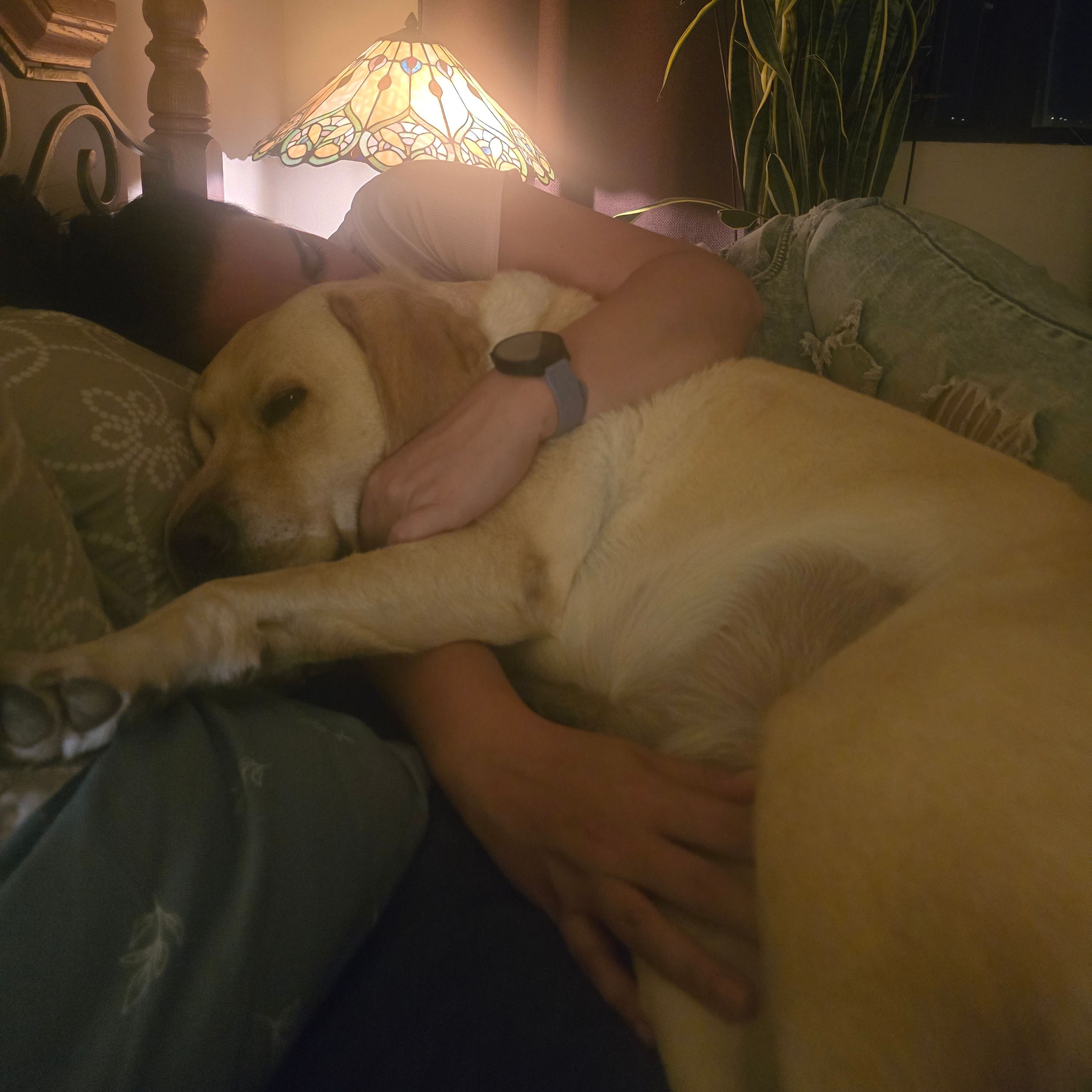 Nova