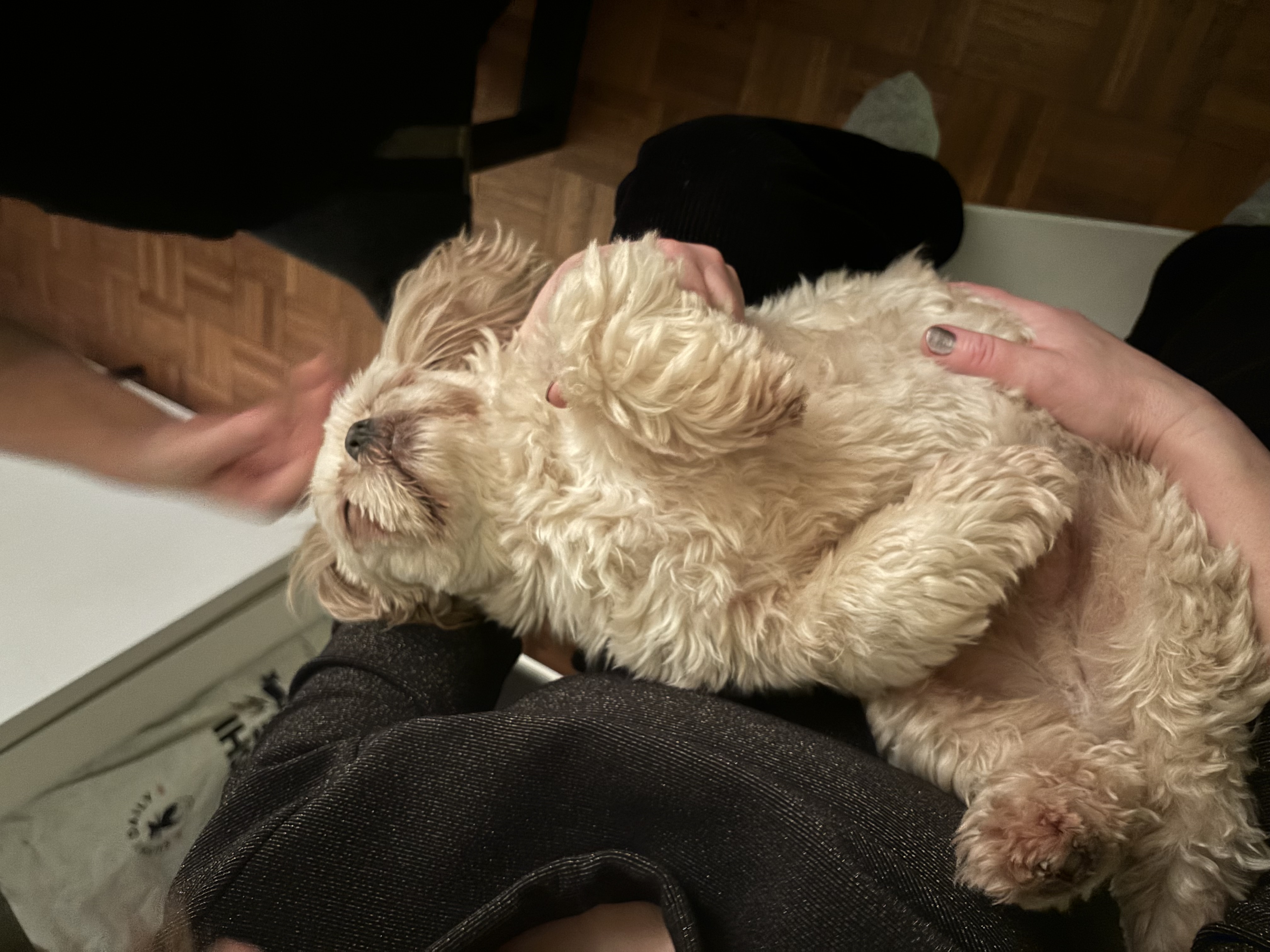 image-8