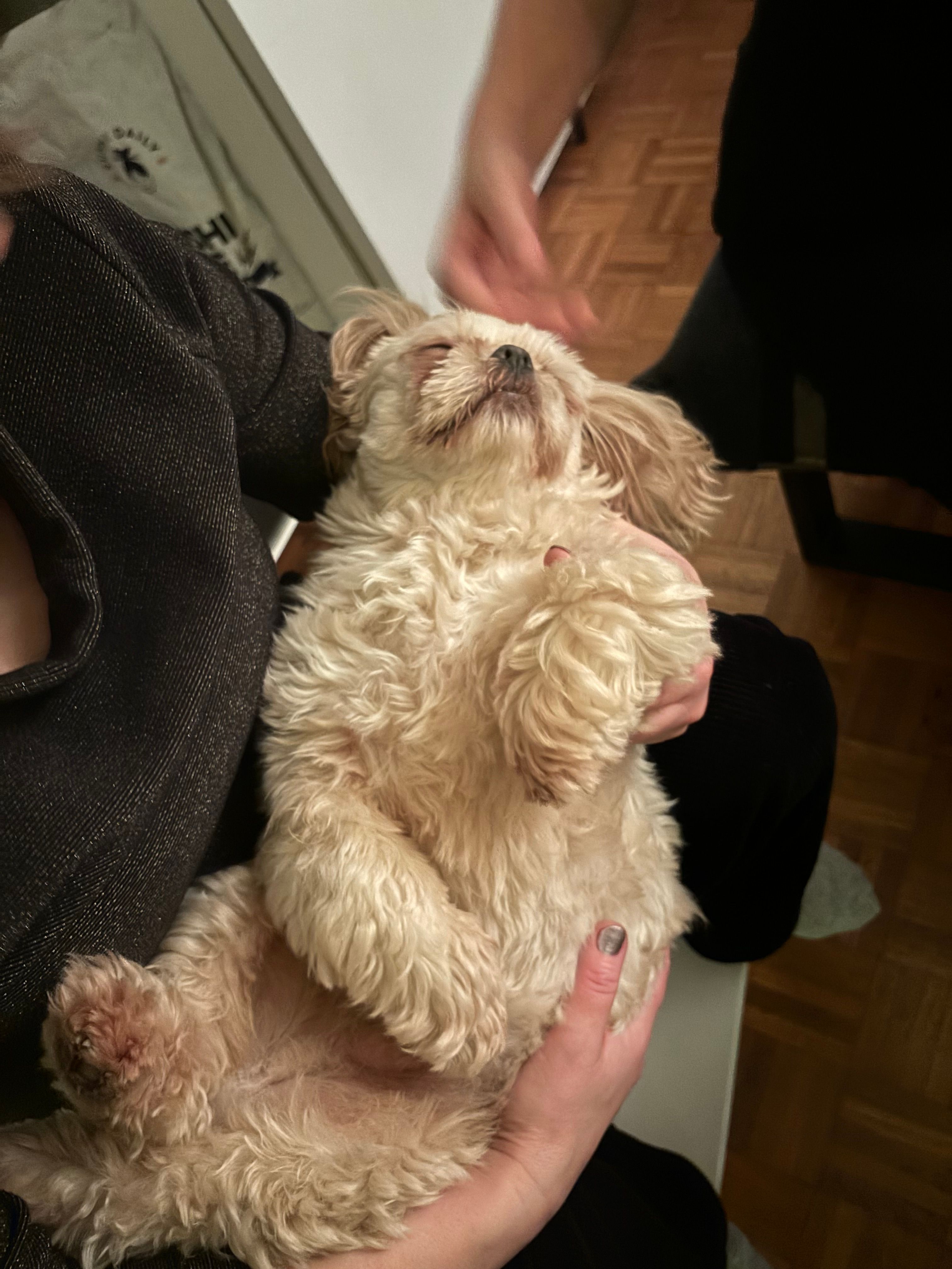 image-8