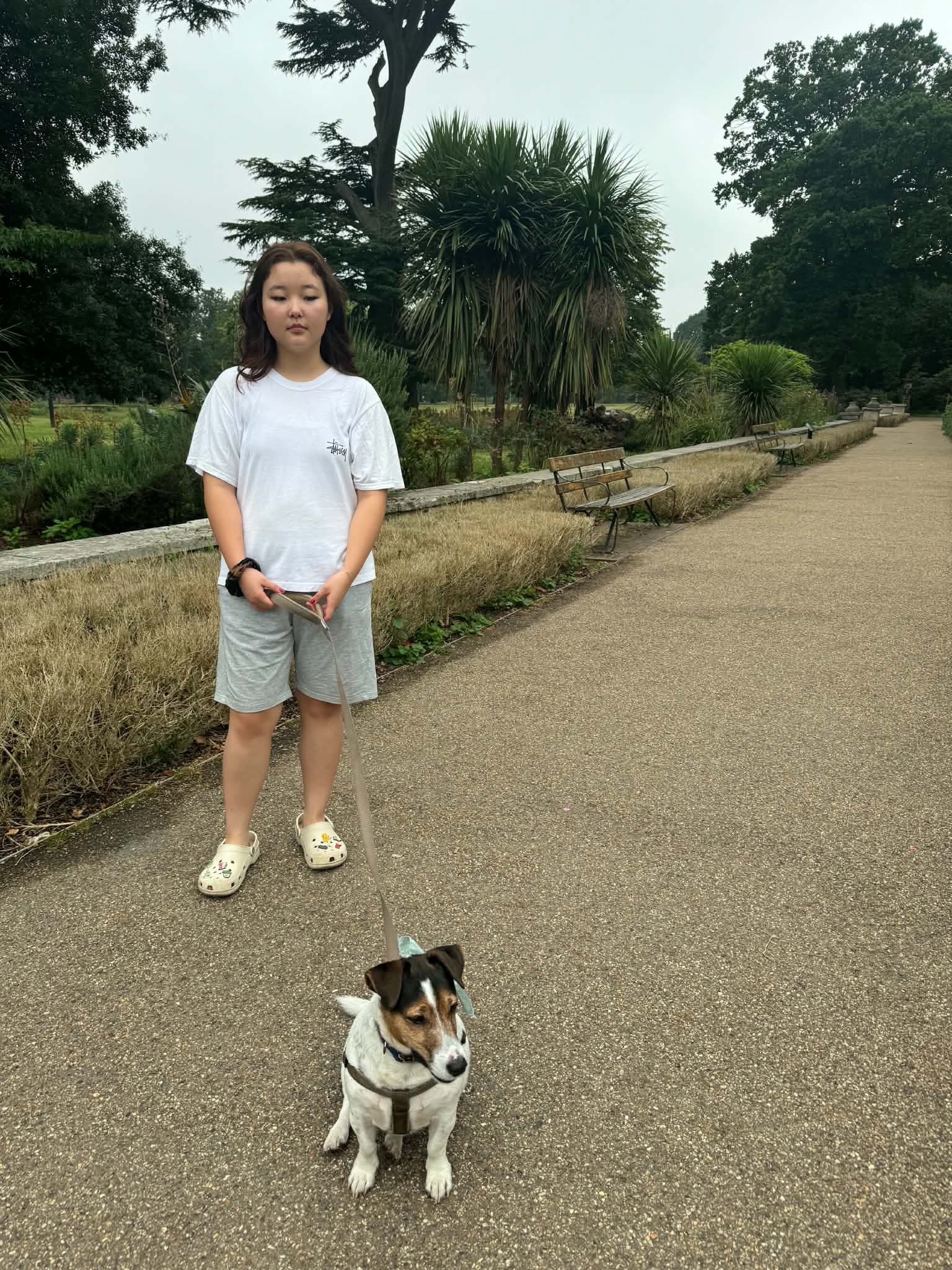 image-10