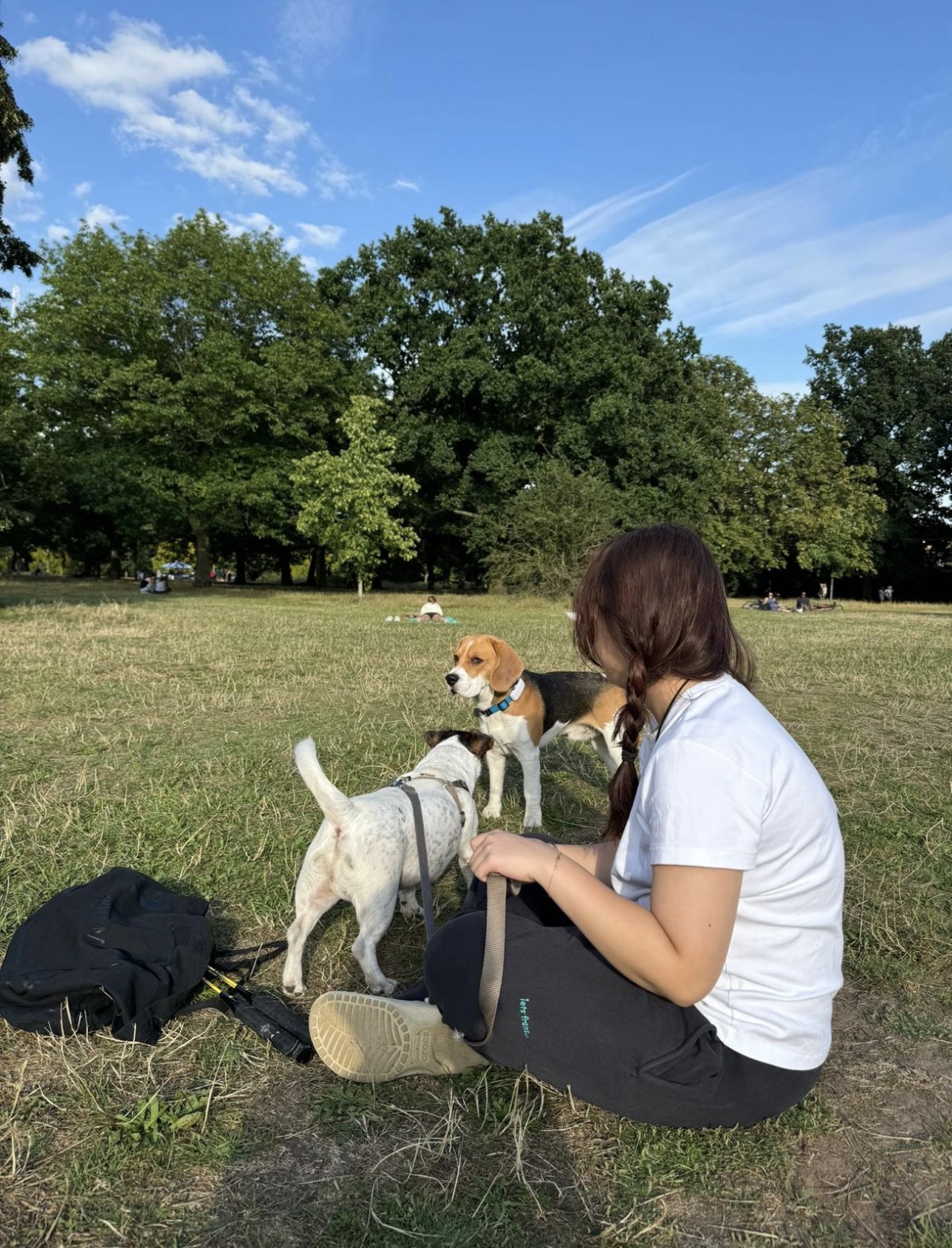 image-9