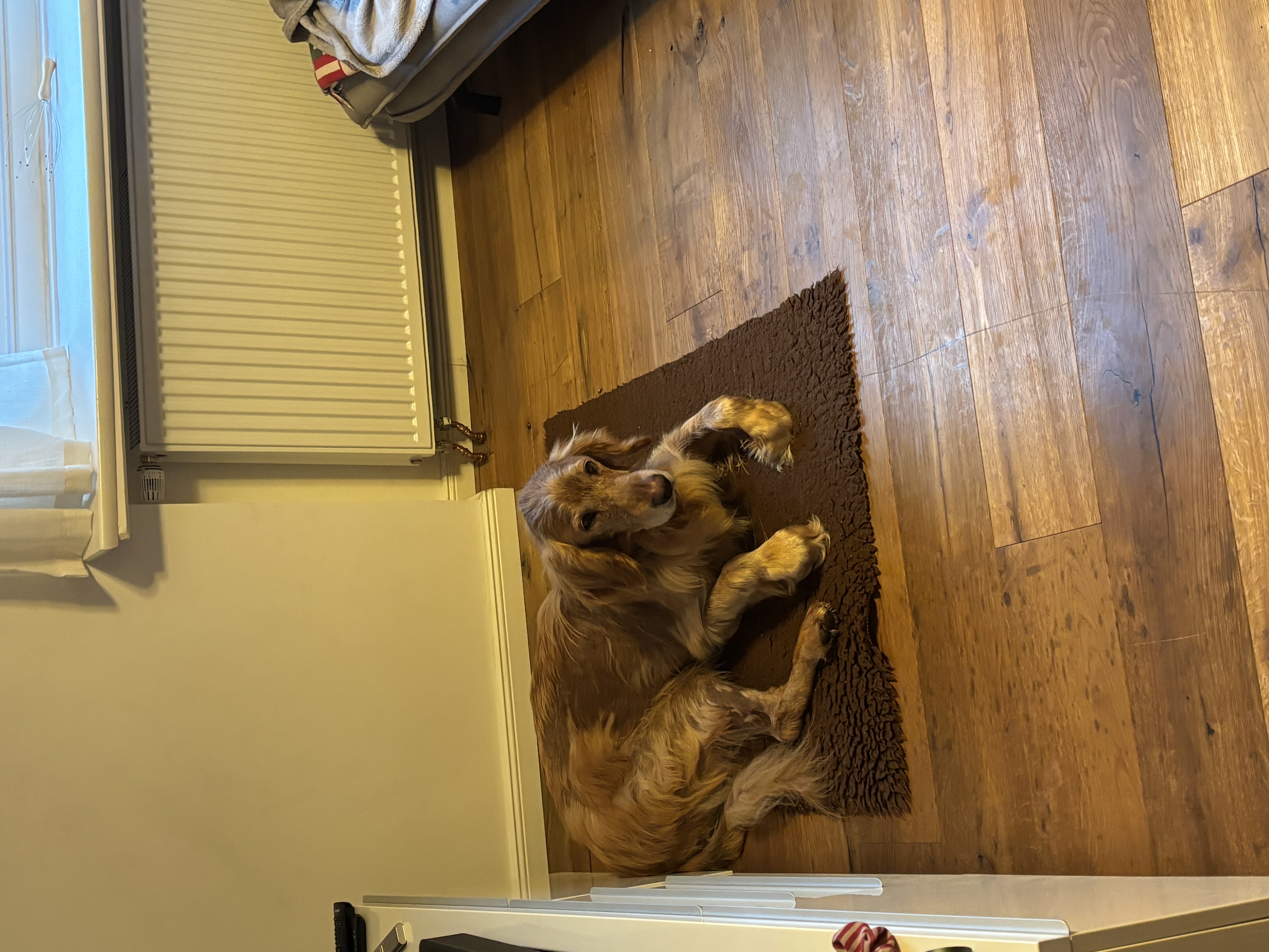 image-7