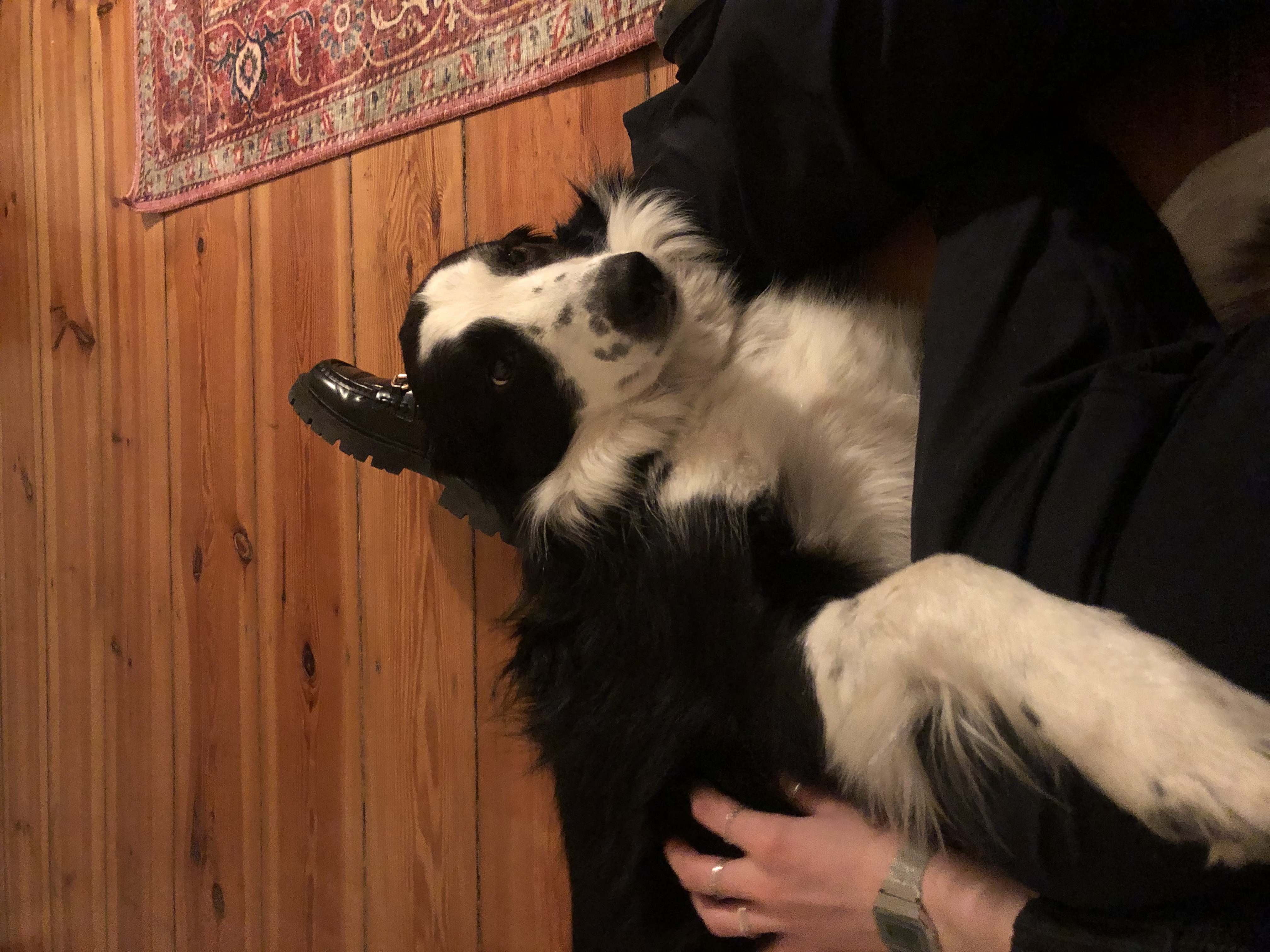 image-9