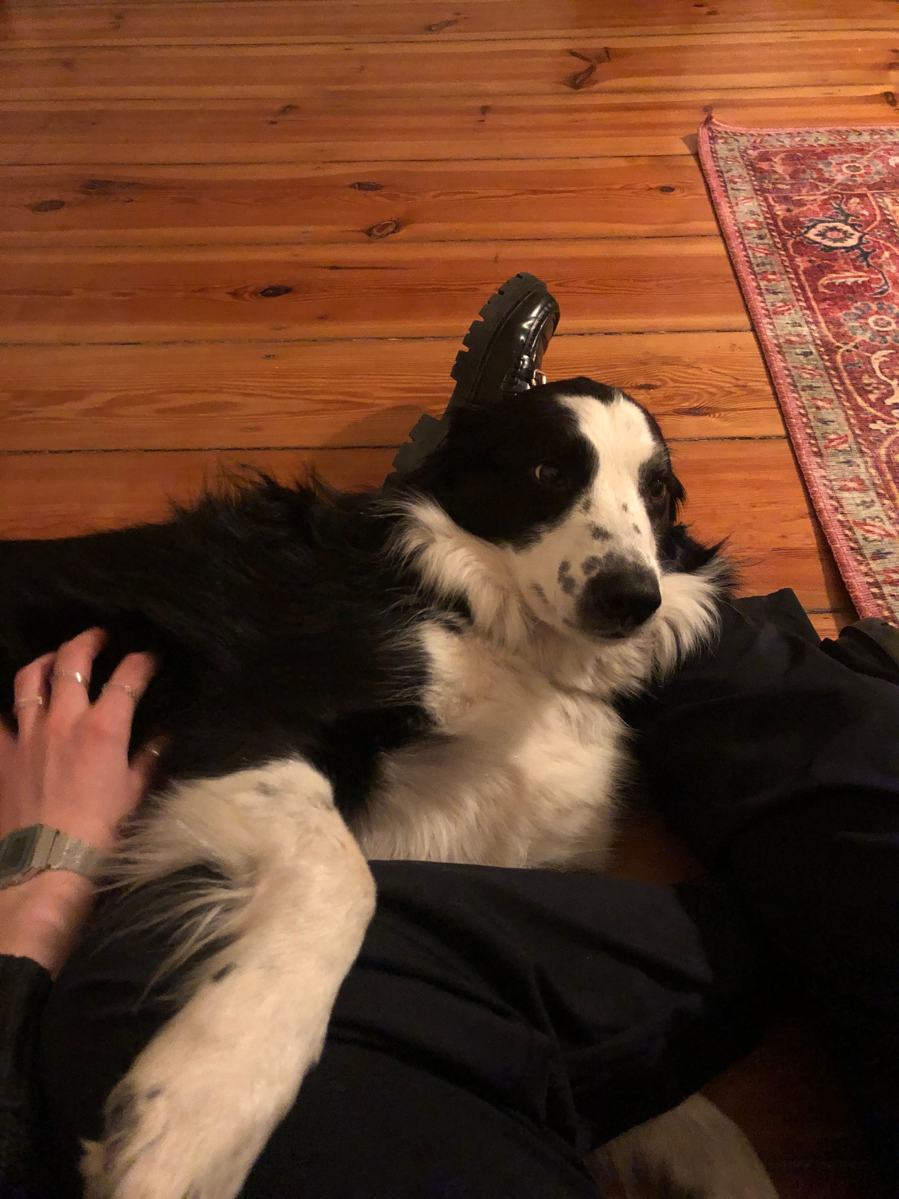 image-9