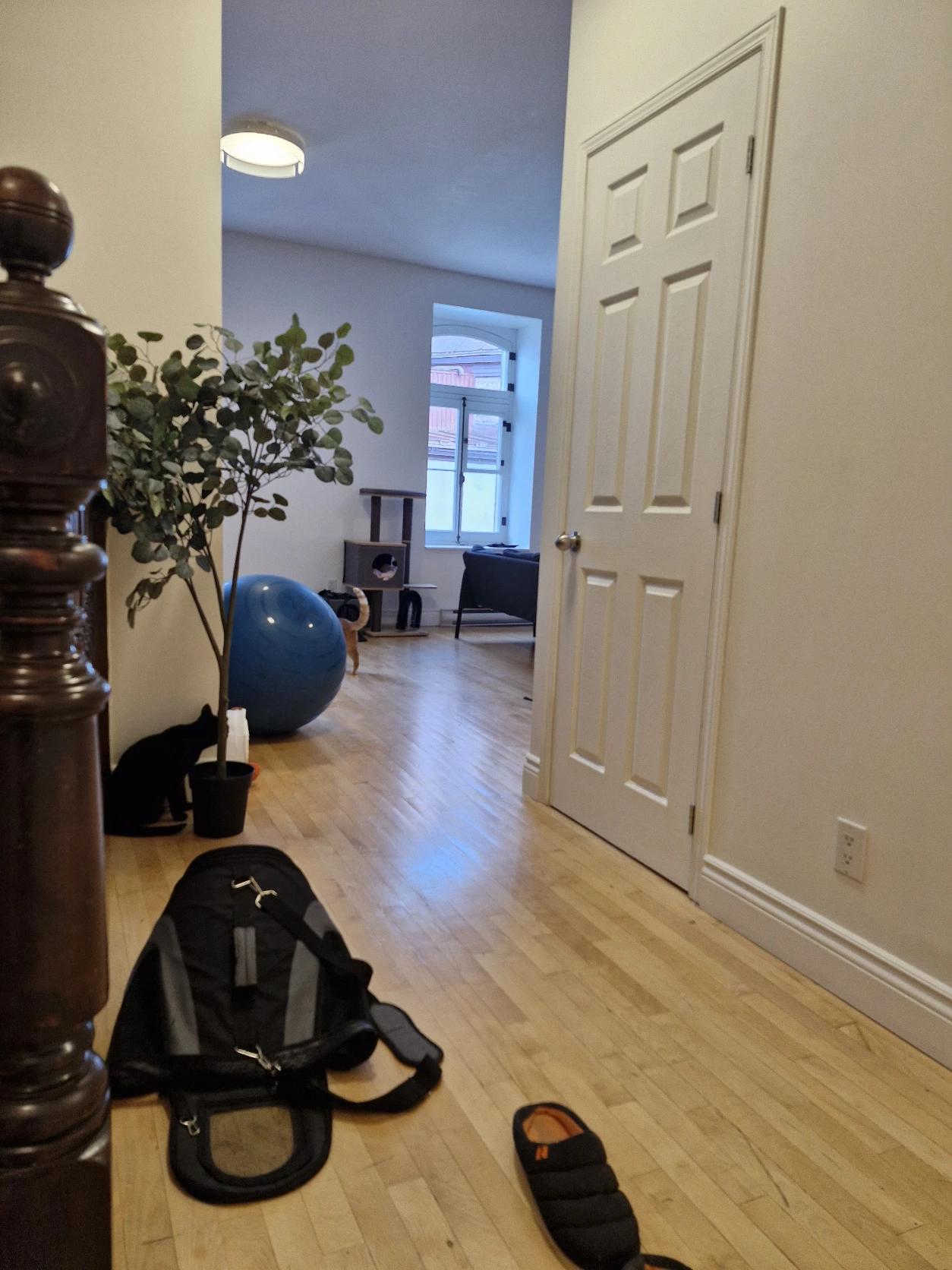image-8