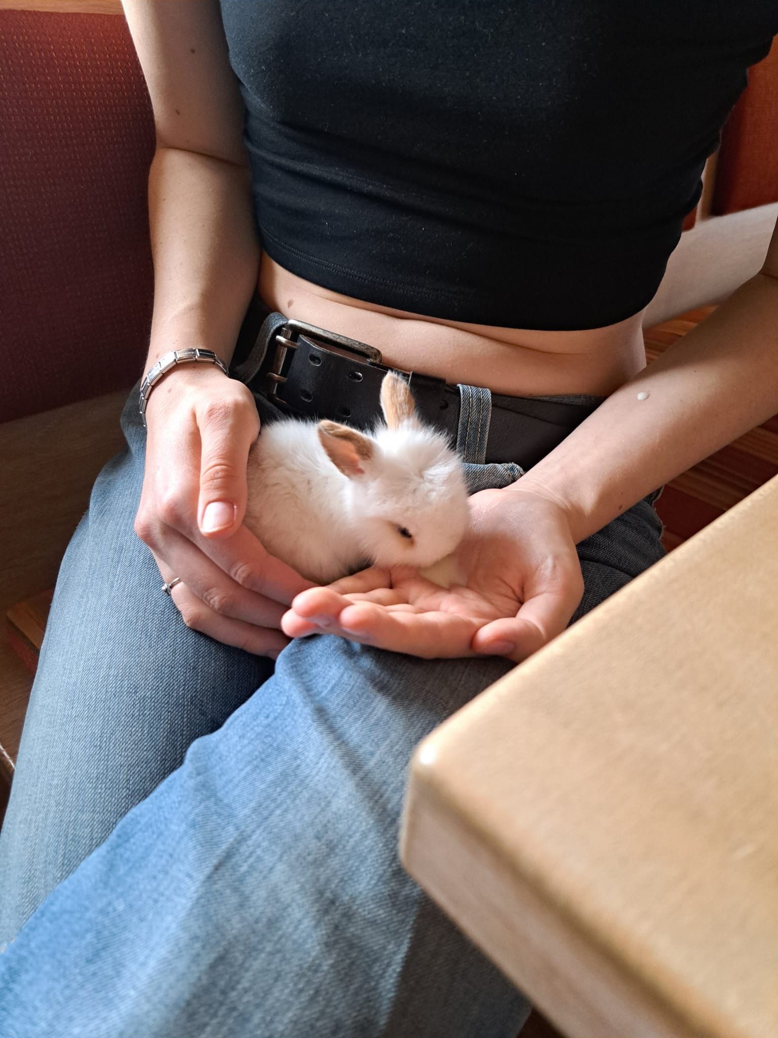 image-7