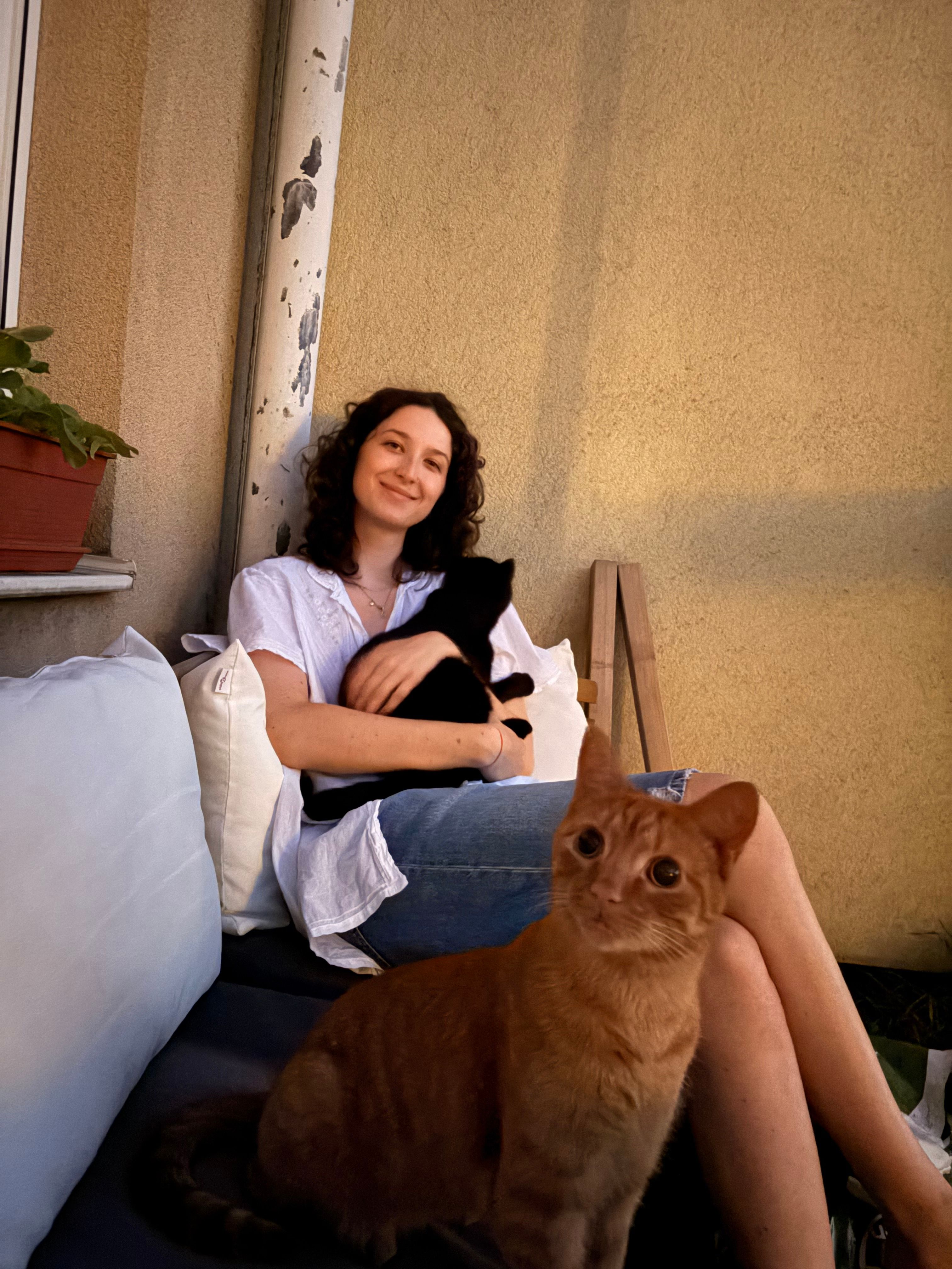 image-5