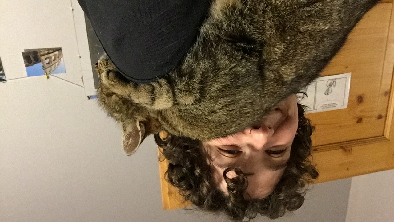 image-8