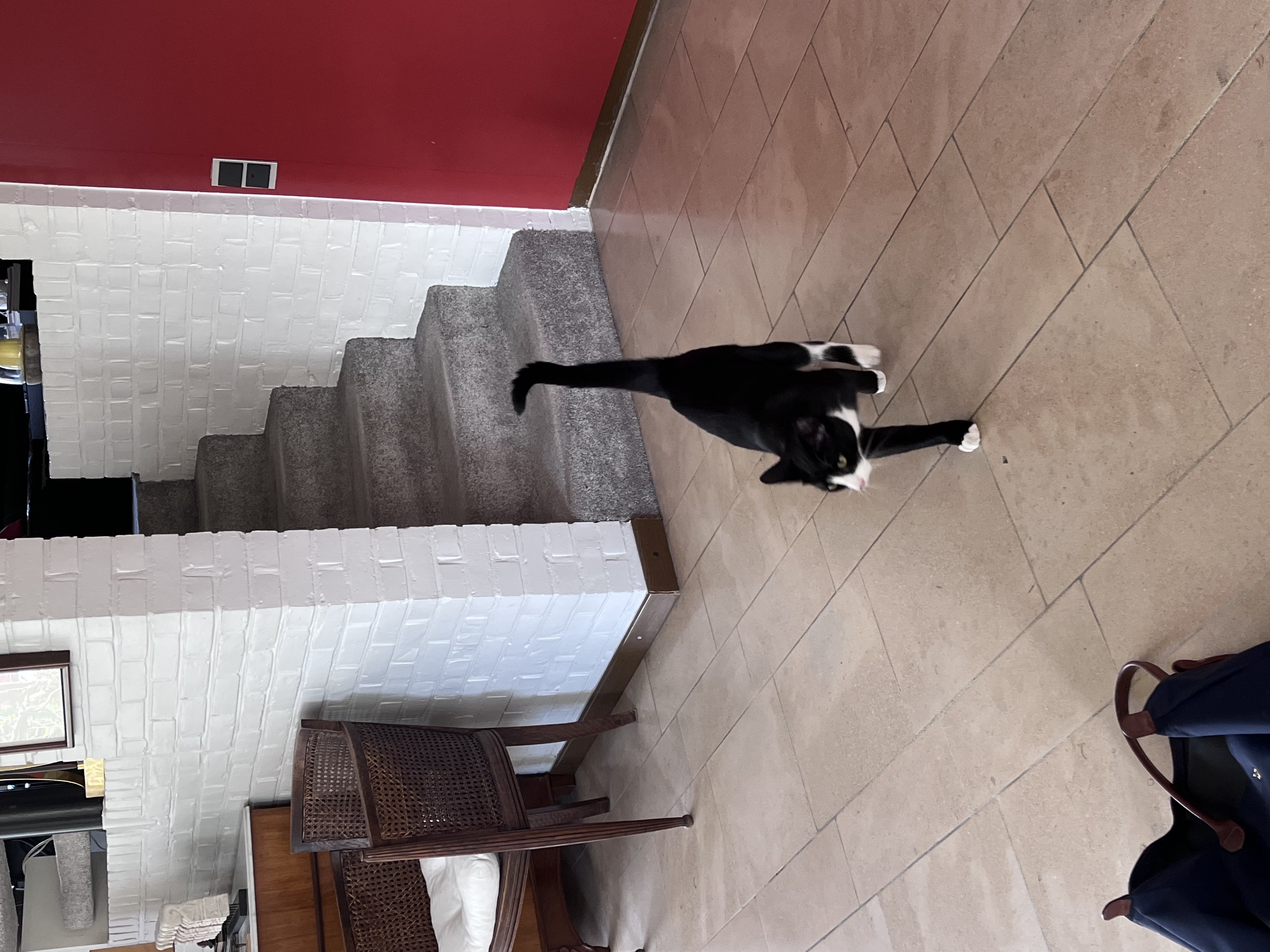 image-6