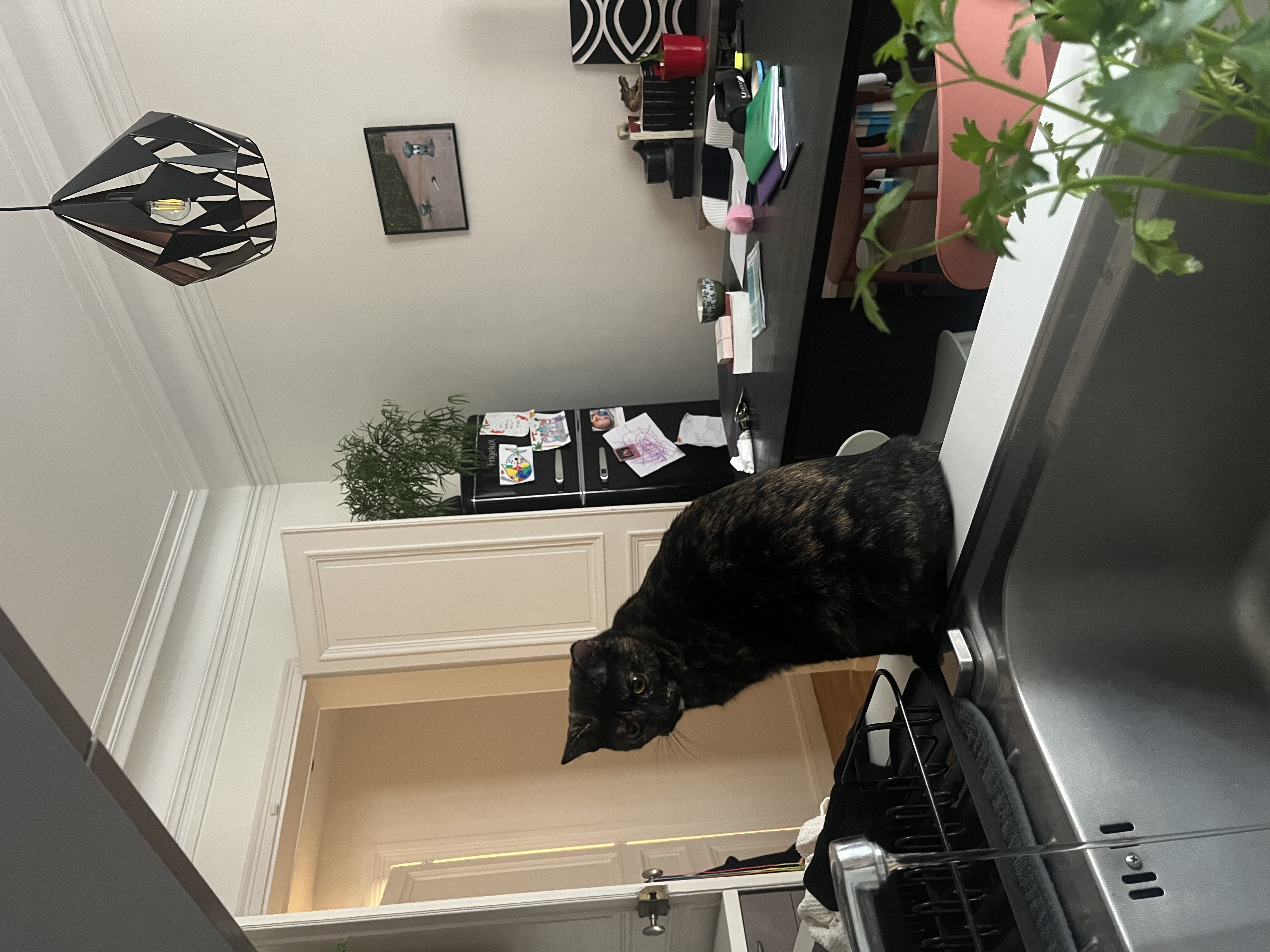 image-8