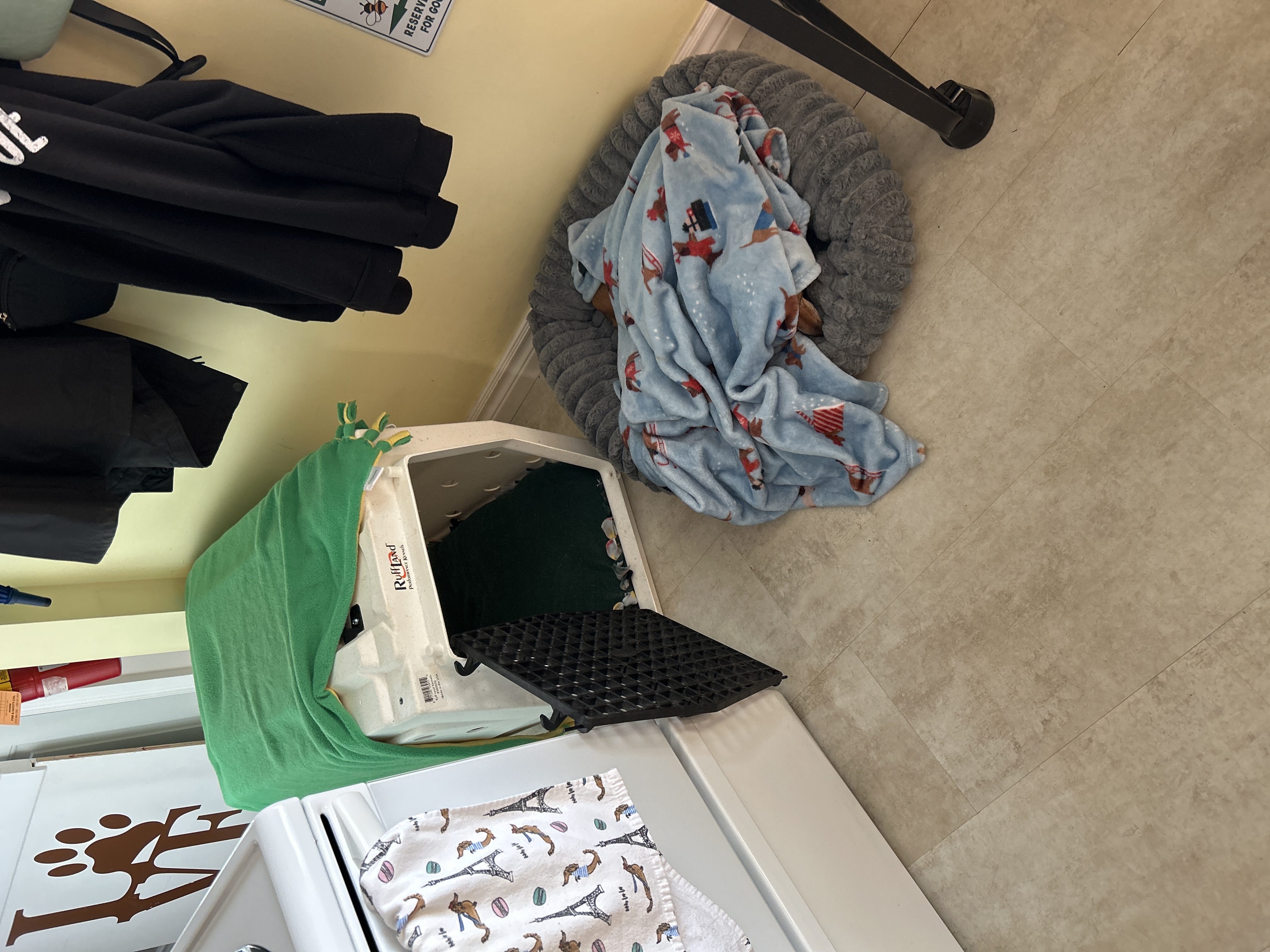 image-11