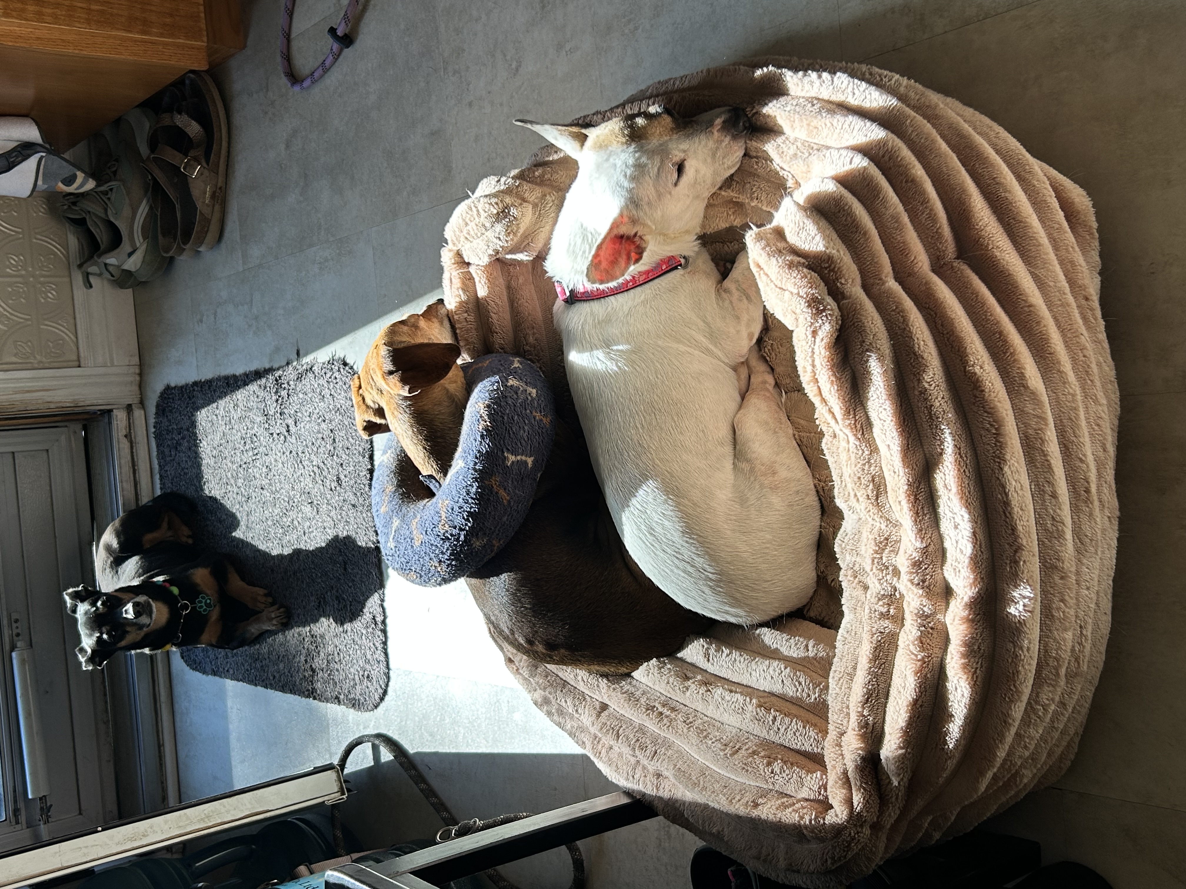 image-5