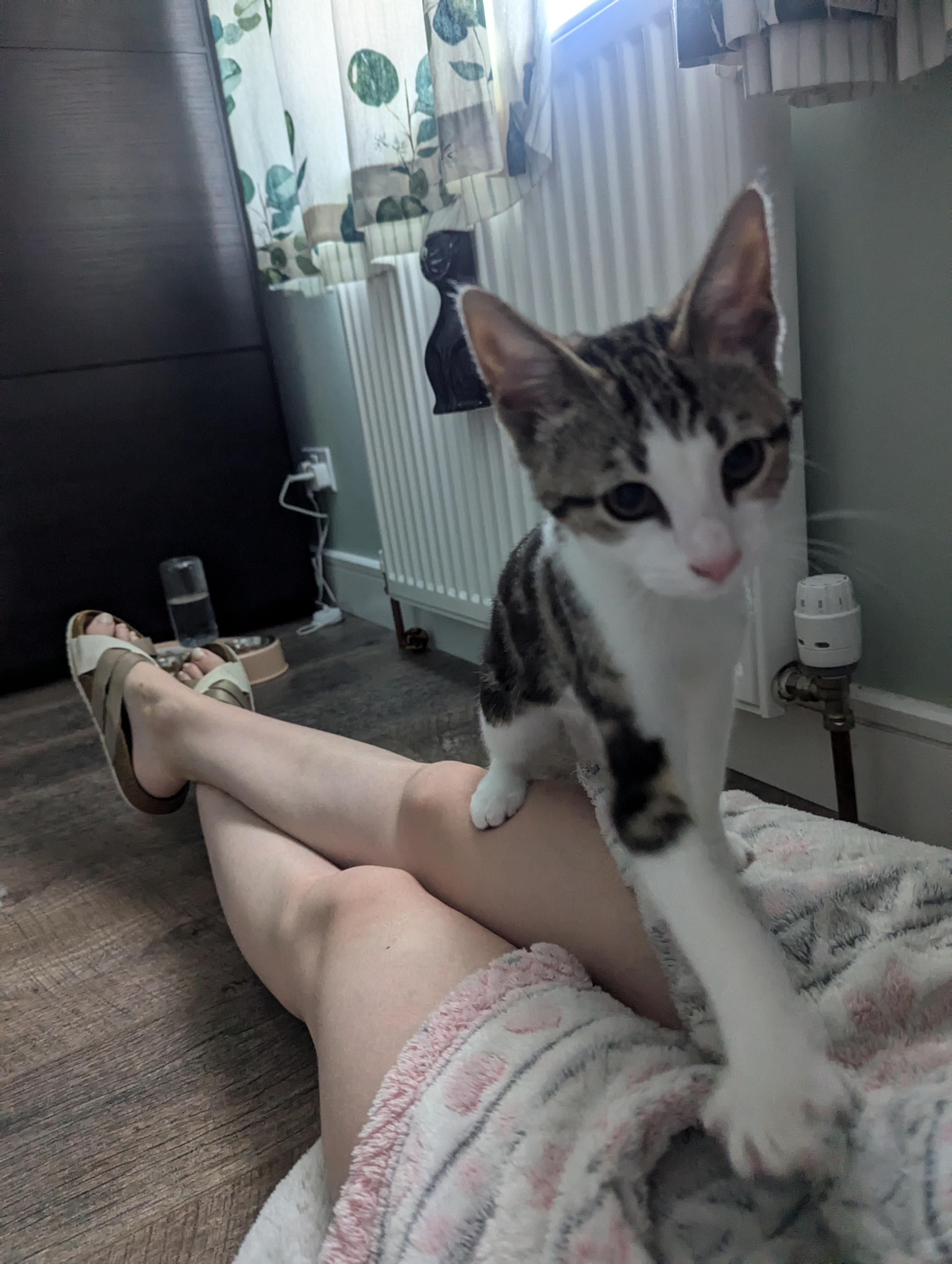 image-8