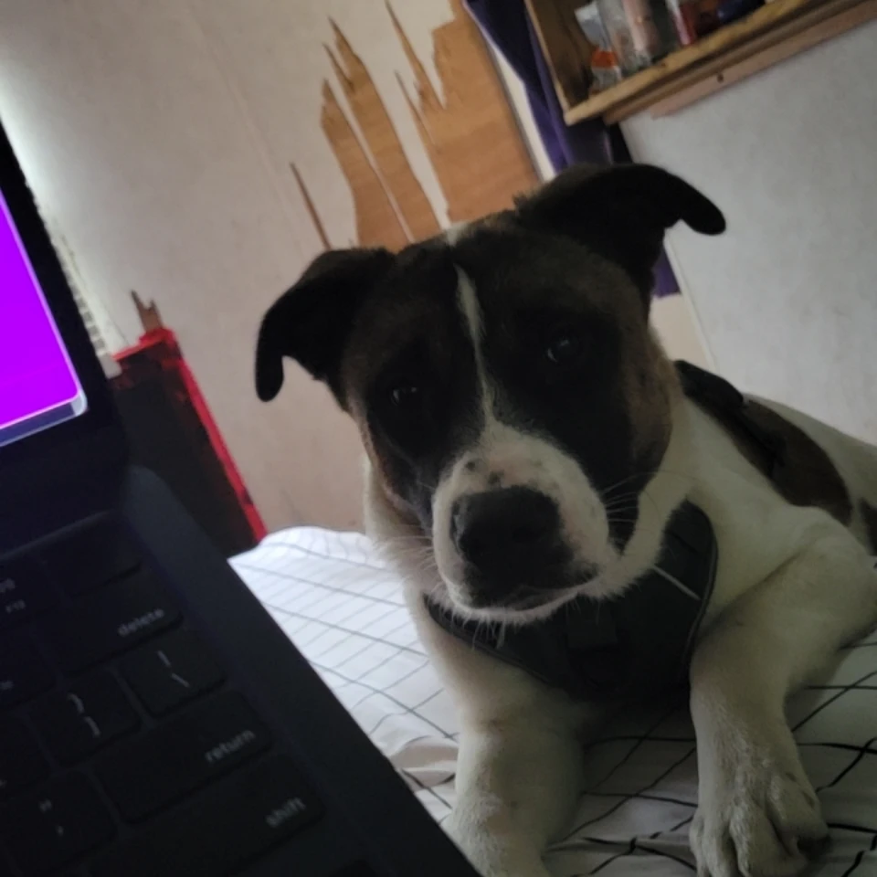 Odin 