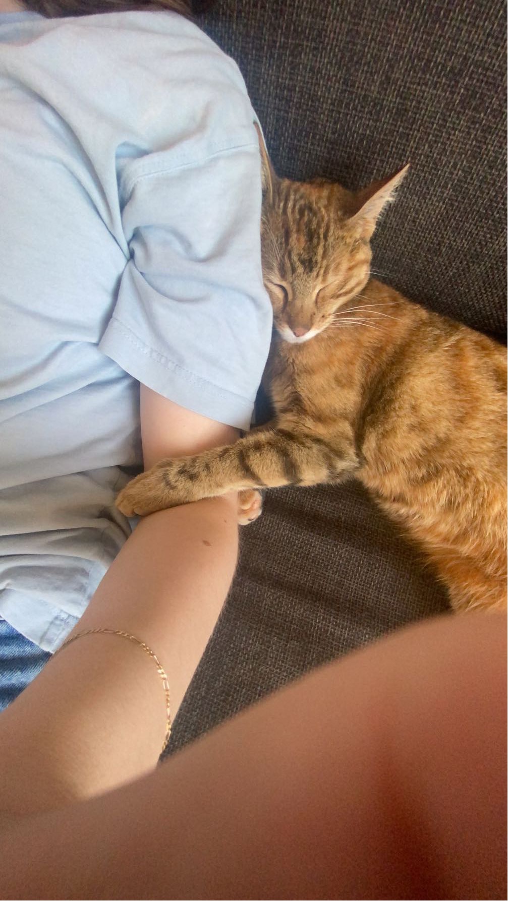 image-8