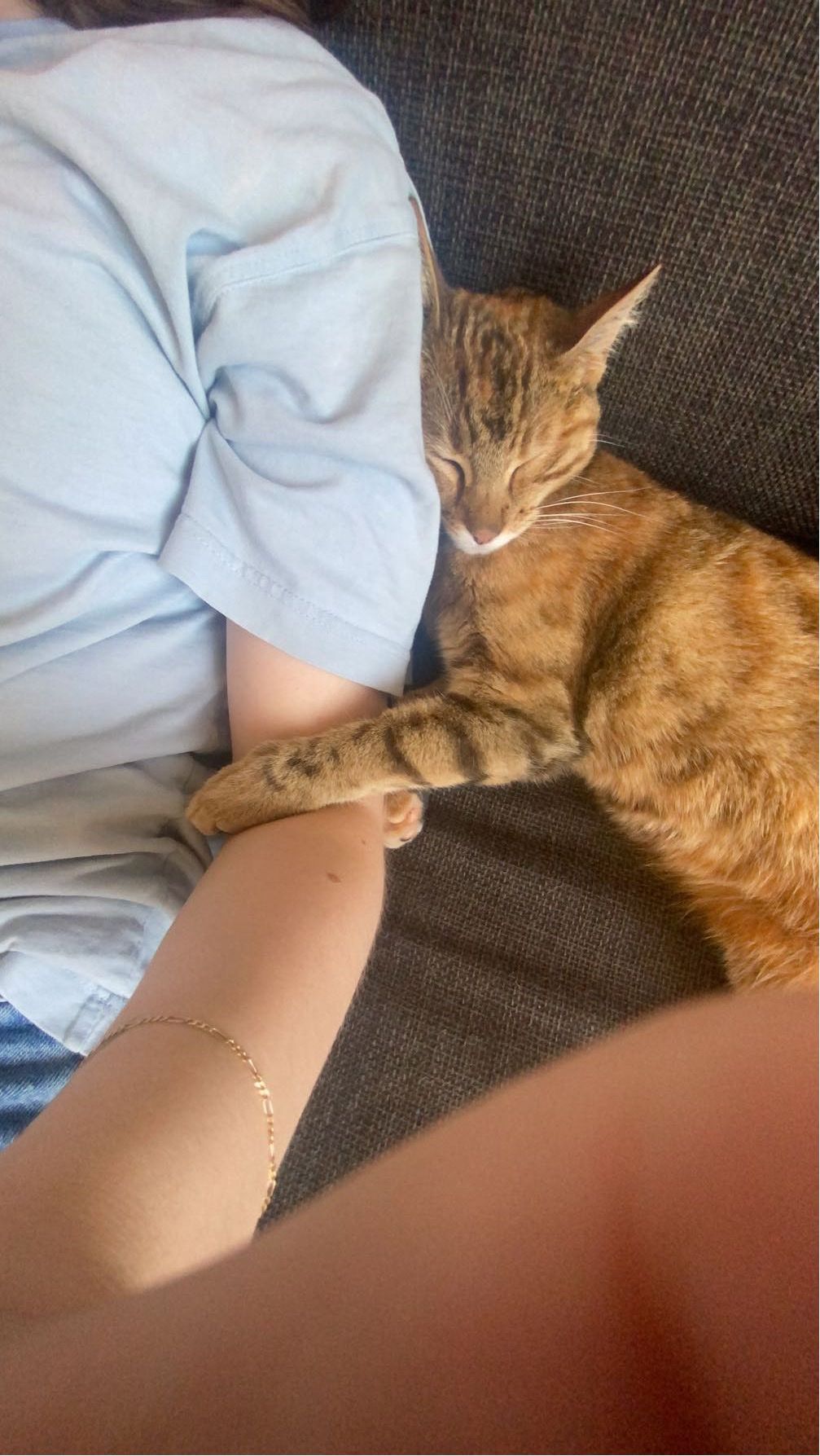 image-8